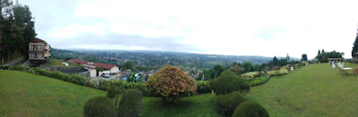 A panoramic view of a sustainable, beautifully landscaped backyard with diverse plants.
