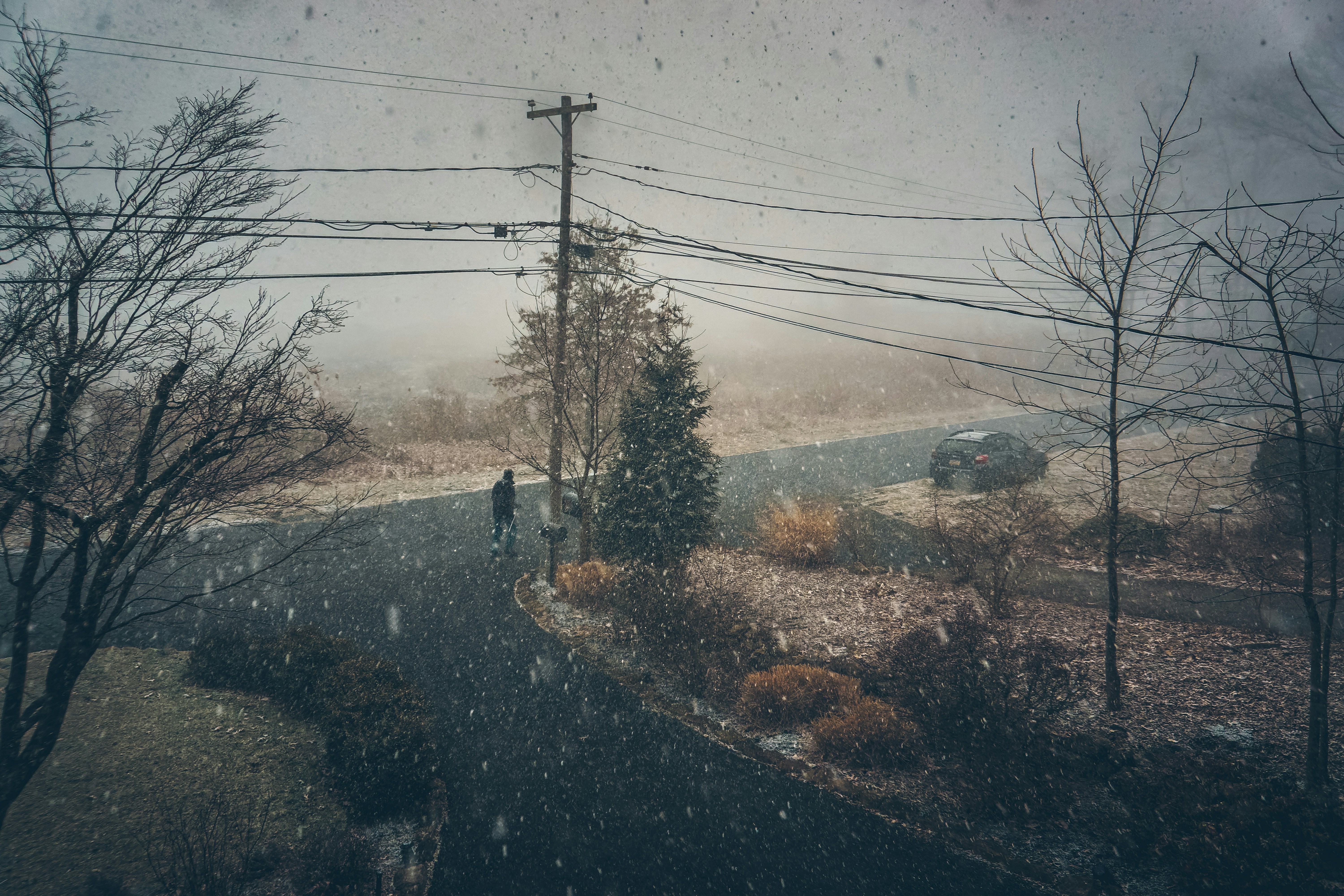 Photo by clayleconey