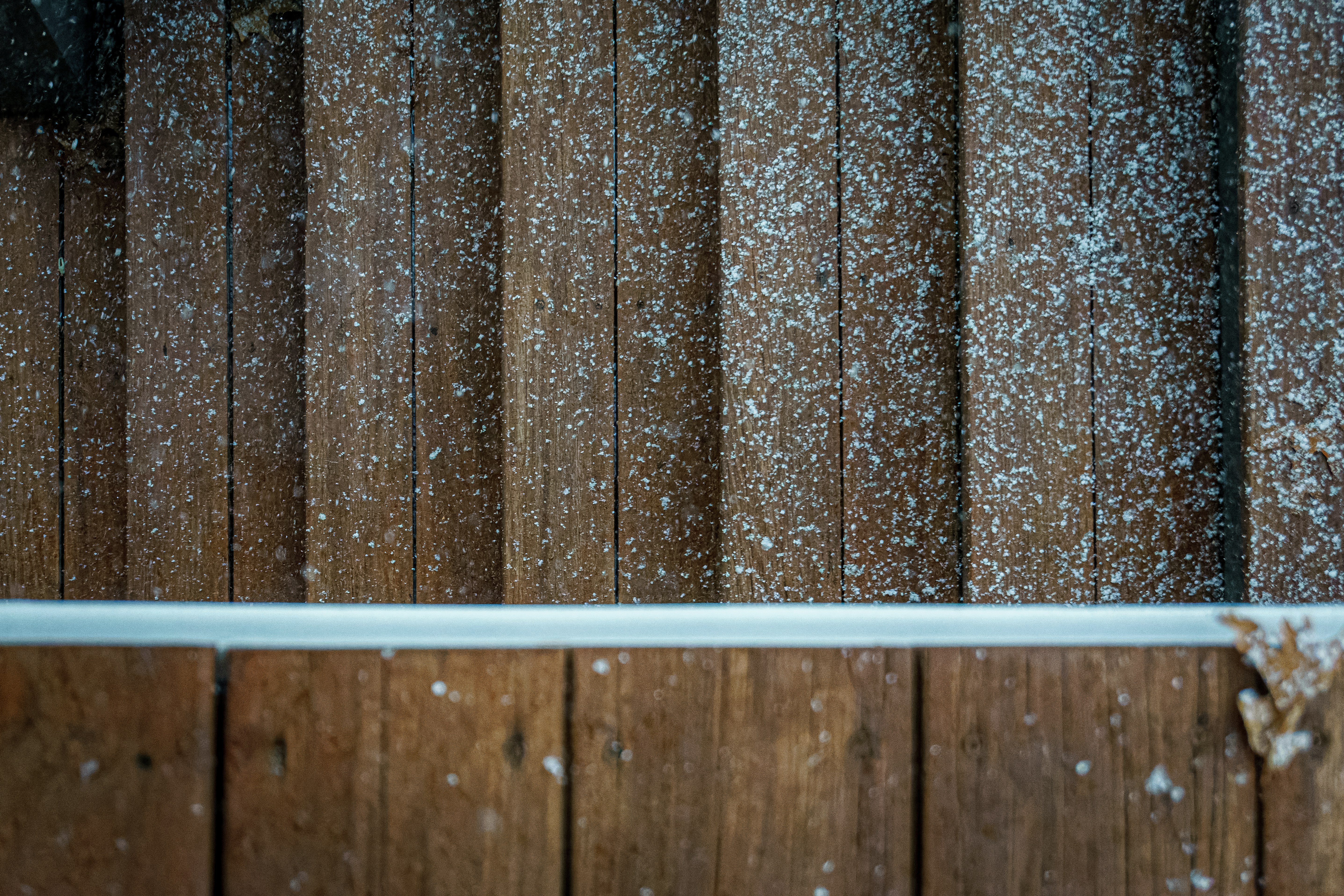 Photo by clayleconey