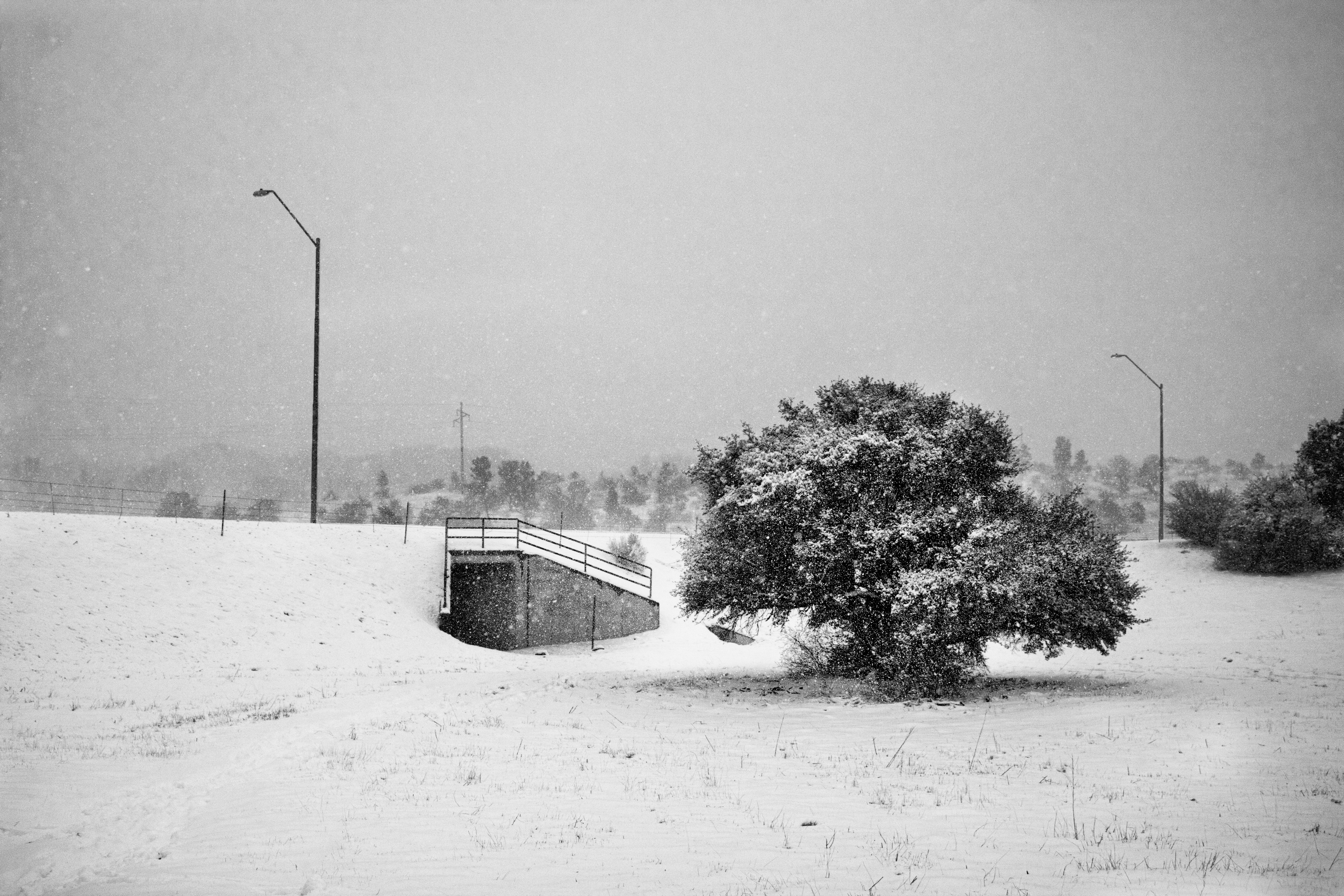 a snow covered field with a bridge and a tree