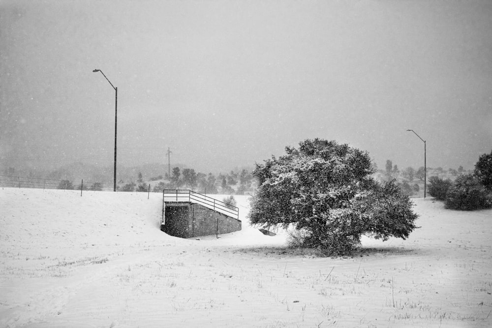 a snow covered field with a bridge and a tree