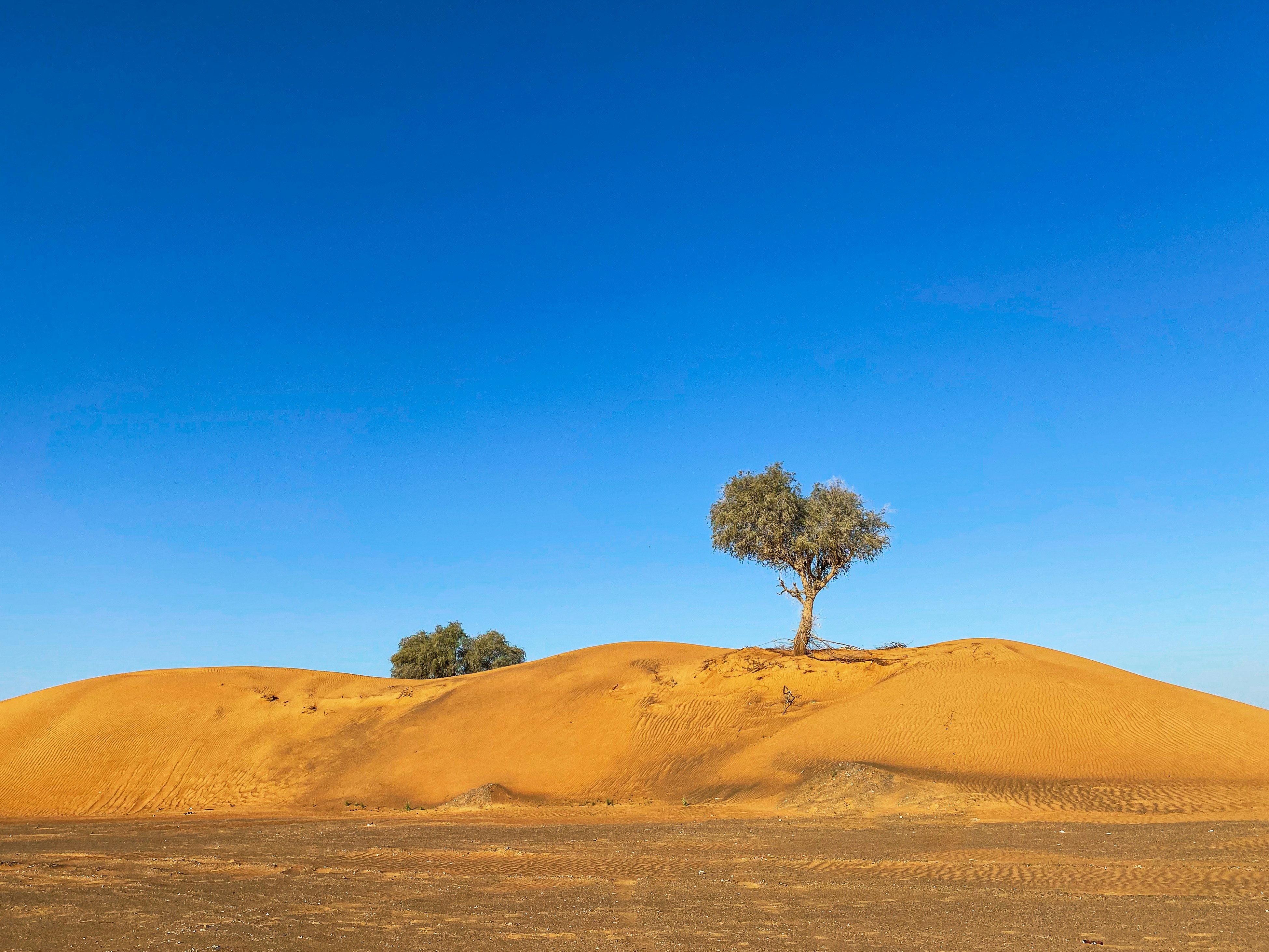 Photo by your_scorpion