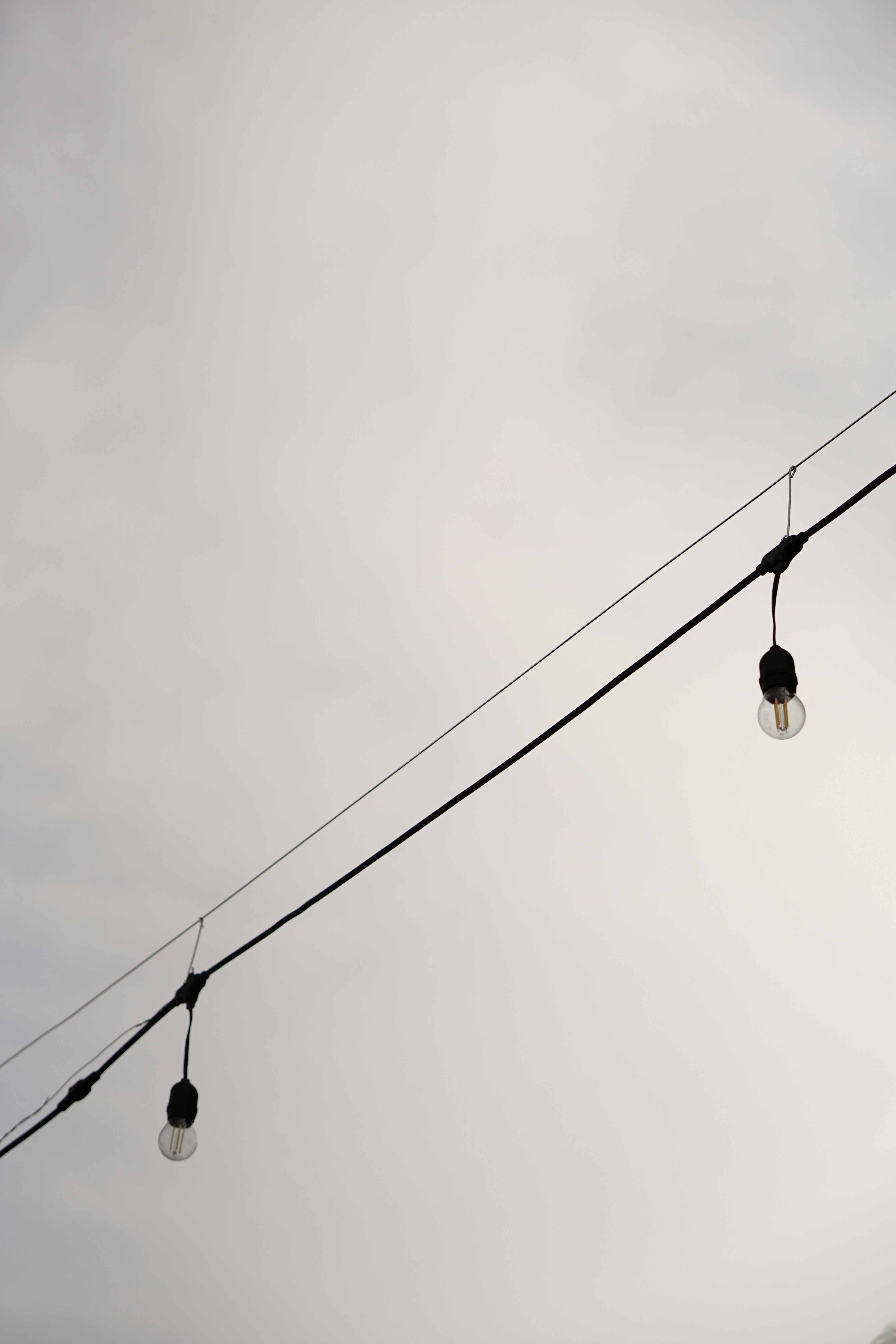 Photo by nafalhaldis