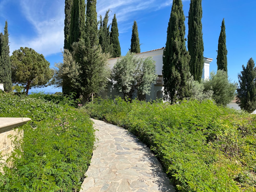 un chemin de pierre devant une maison entourée d’arbres