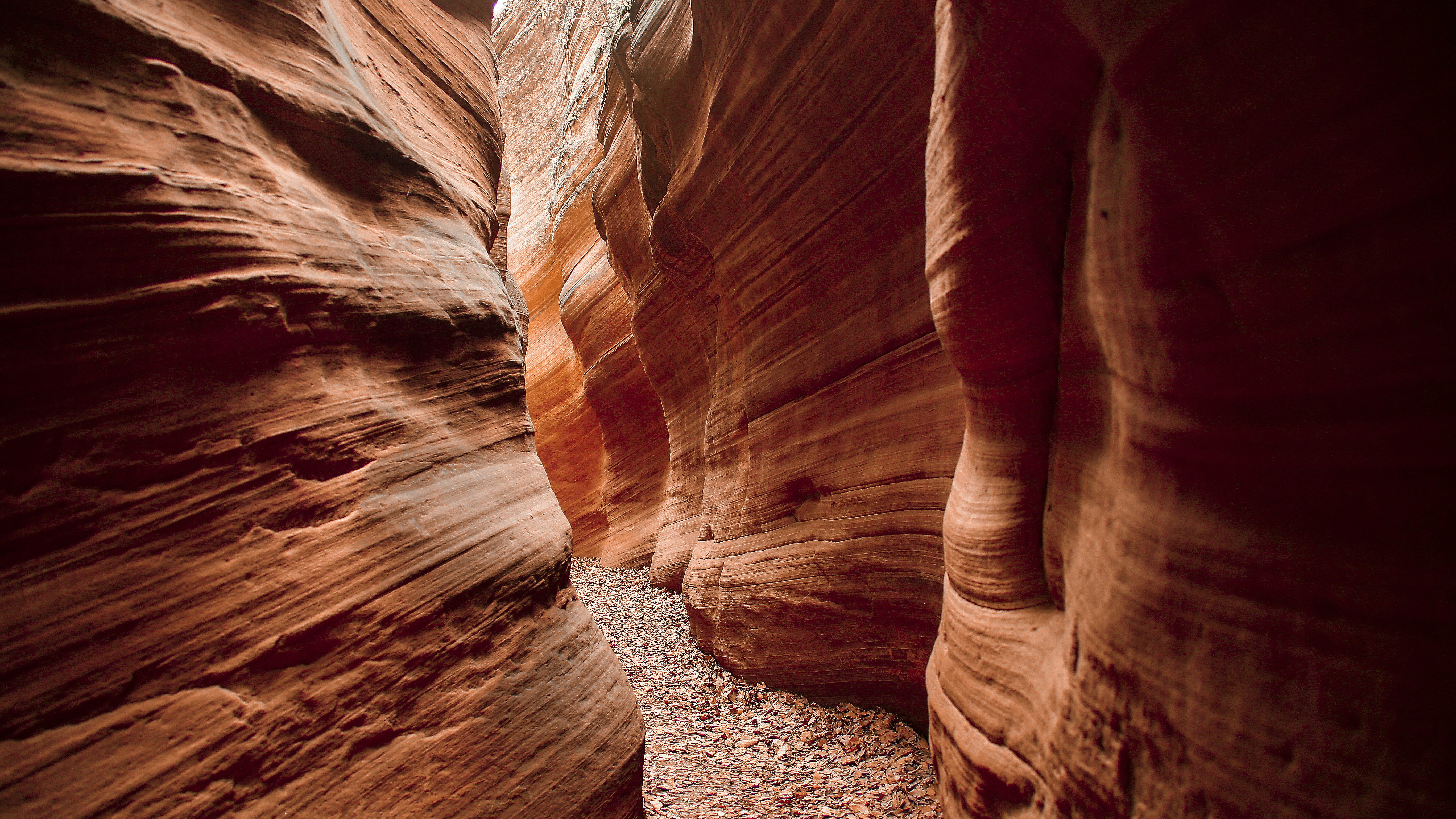 Photo by wangqiphoto