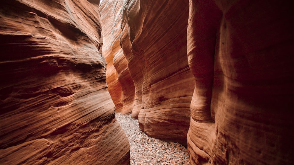 a narrow slot in the side of a canyon