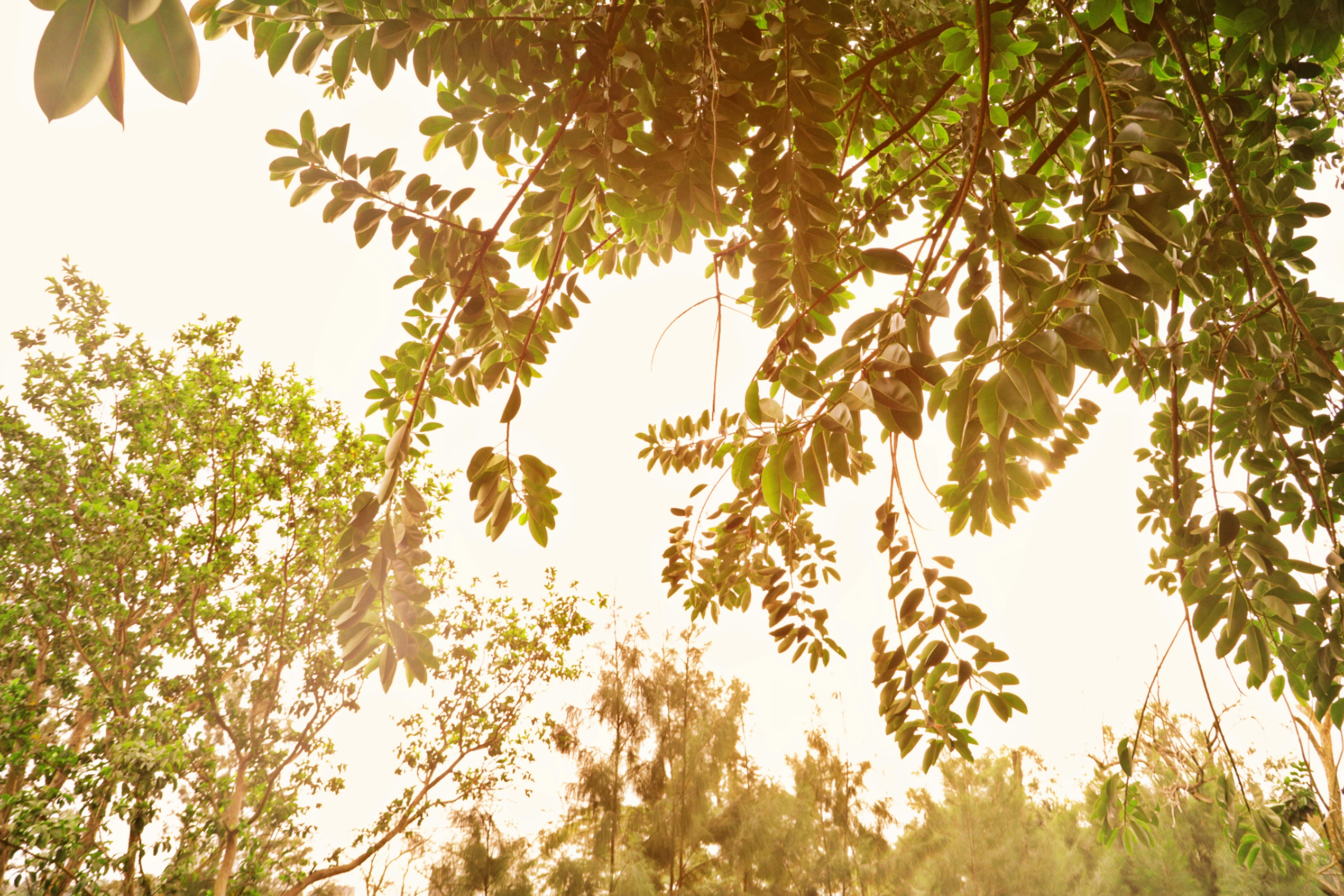 Photo by princebeguin