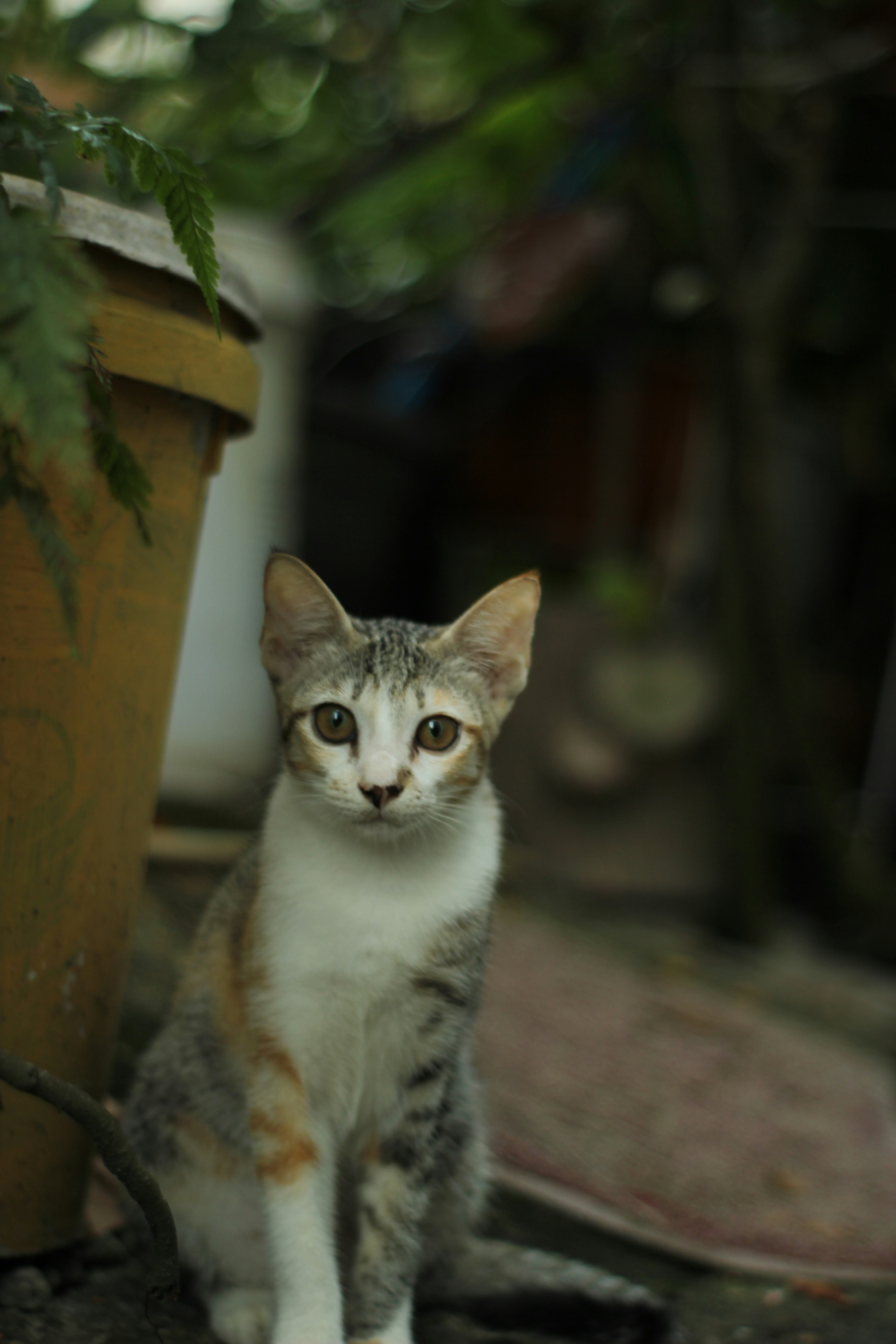 Photo by yusufmuttaqn