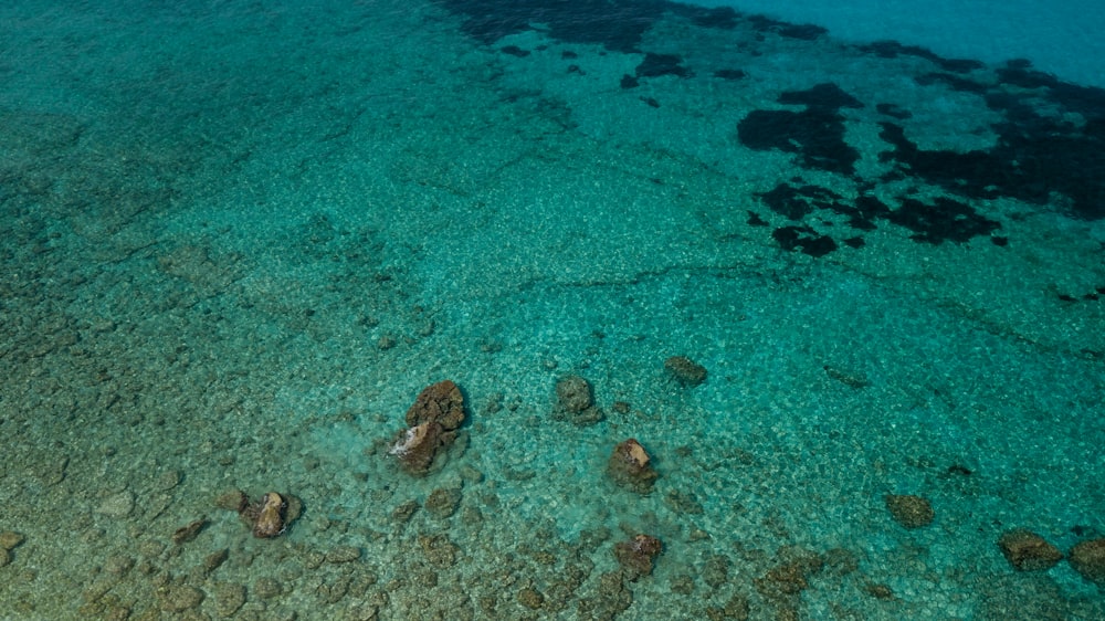 an aerial view of the ocean with rocks and water