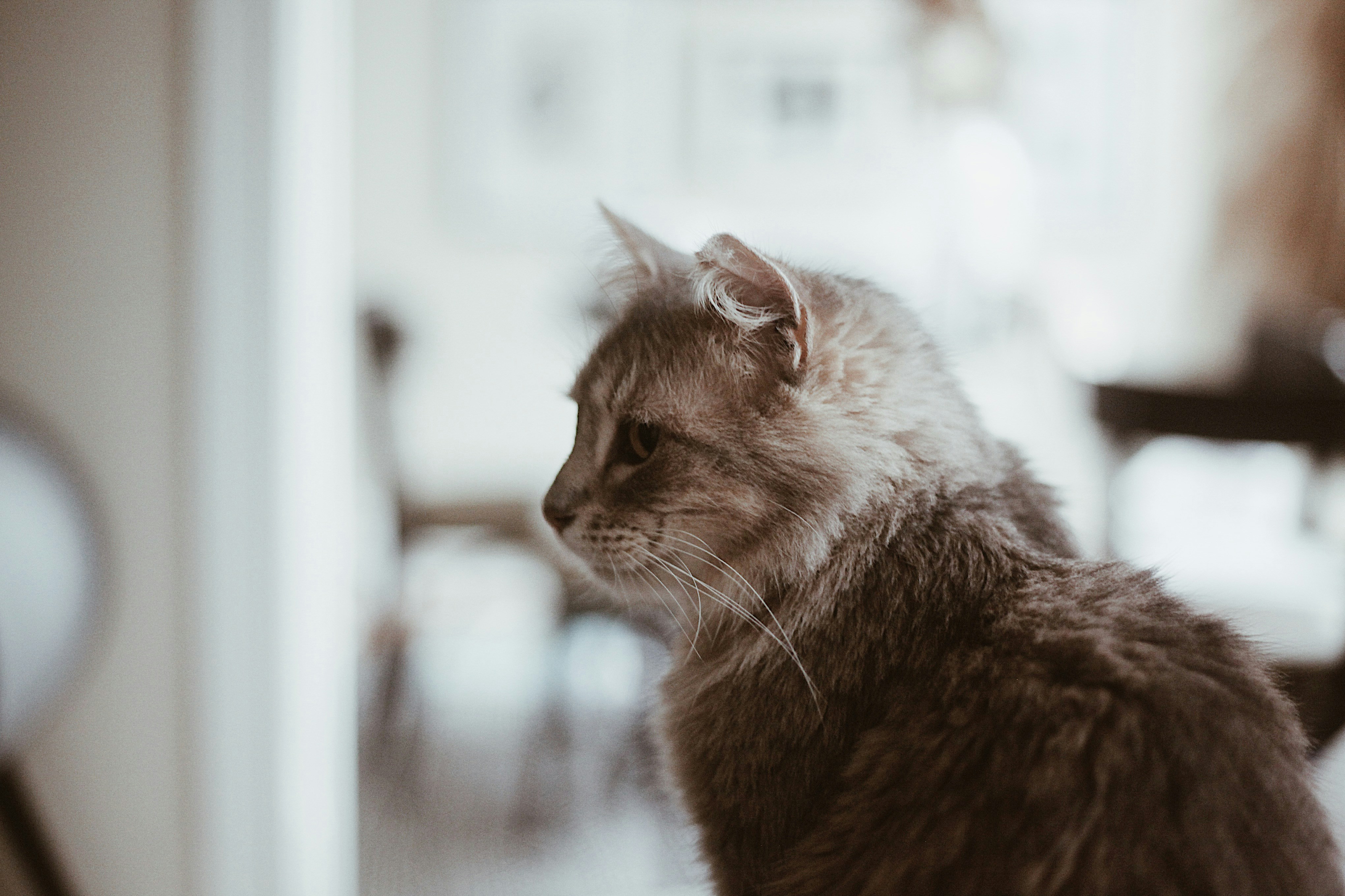 Photo by earthtokarly