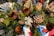 An arrangement of natural elements including large pine cones, dried foliage, and green branches. The composition is rich with texture, featuring dry flowers and leaves, small berries, and a decorative ribbon with red, white, and blue colors. The objects are arranged densely, creating a rustic, festive look.