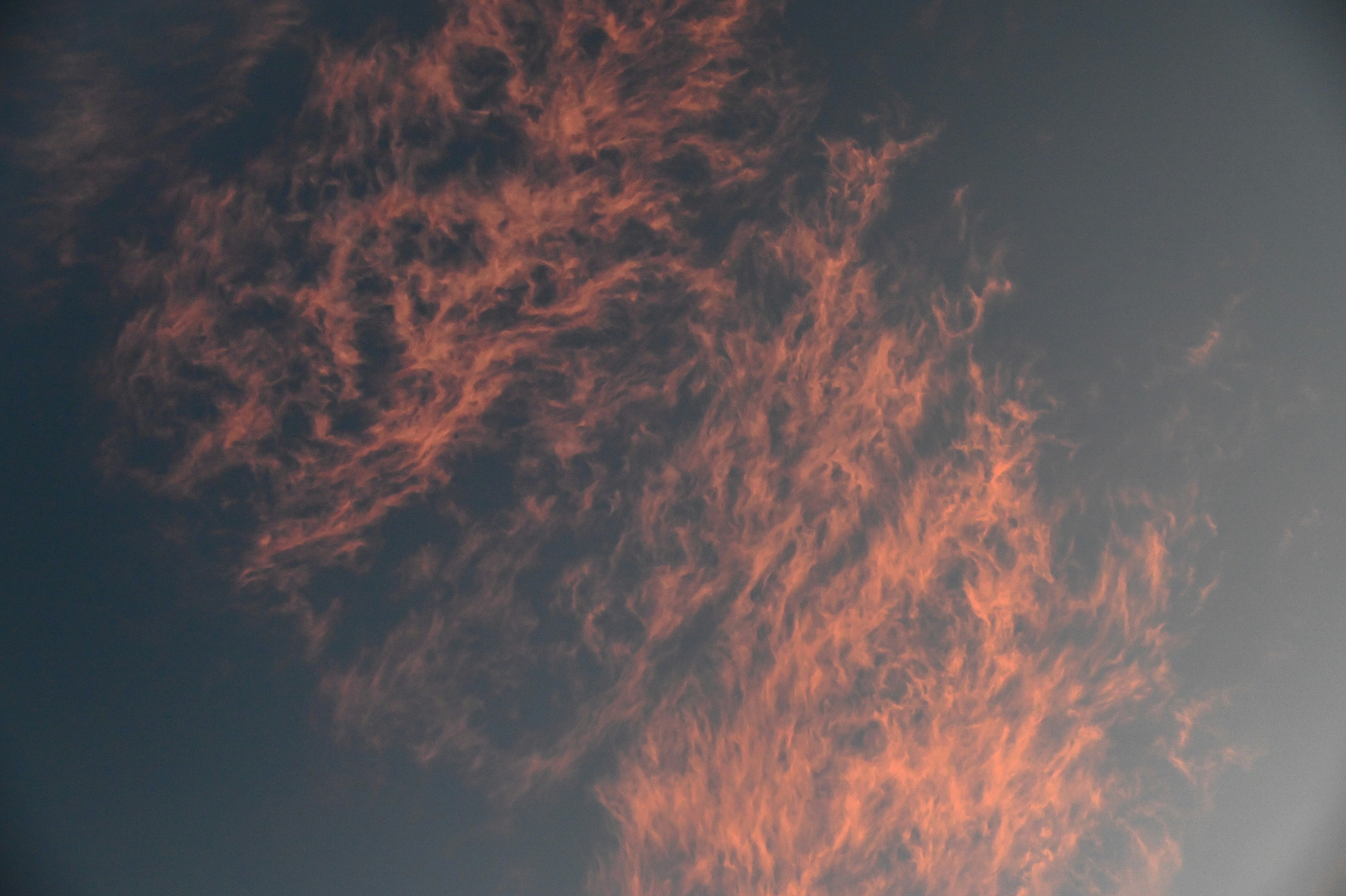 Photo by cristina_glebova