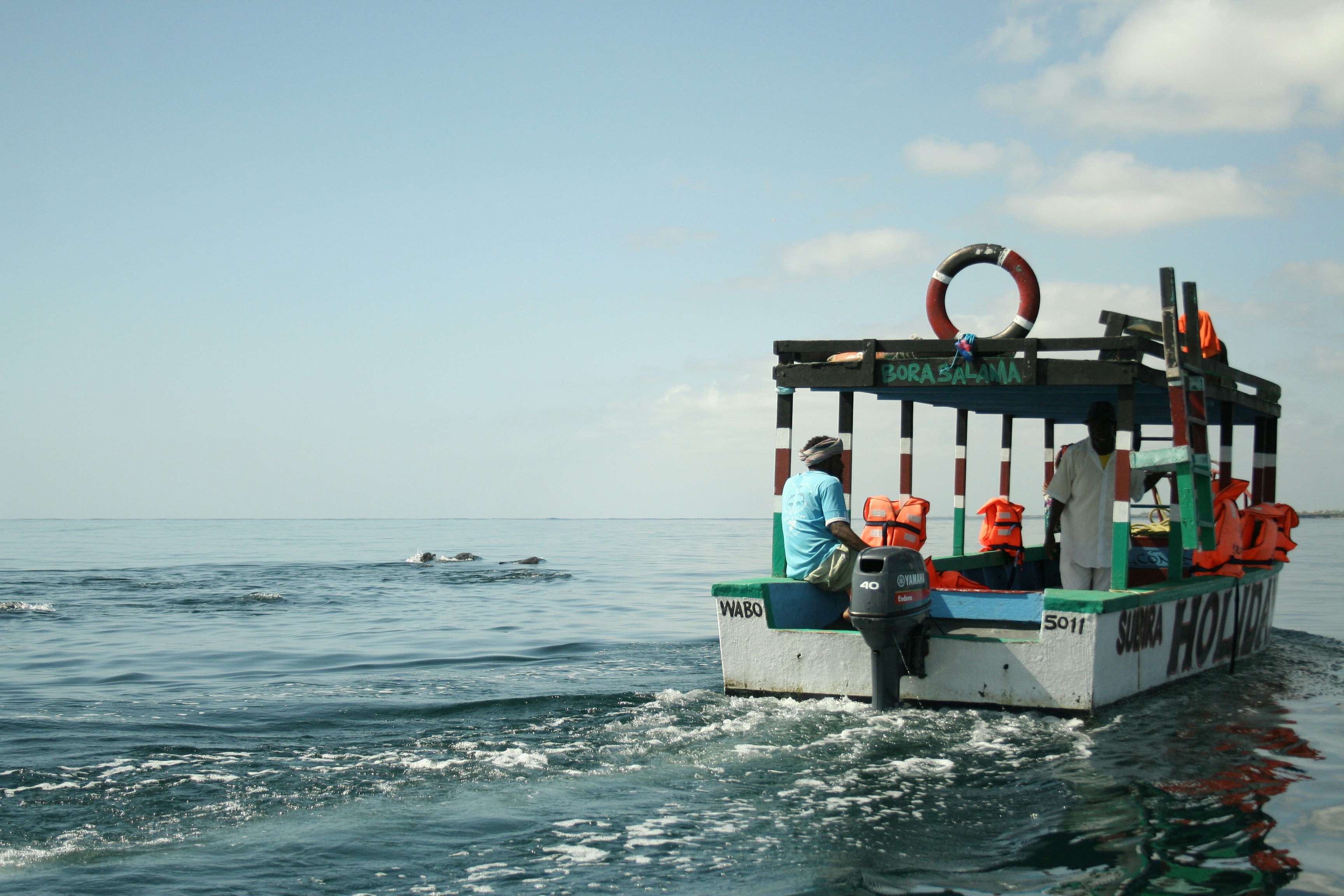 Dolphin spotting in the Indian Ocean off the shores of Malindi Photo by Timothy K on Unsplash