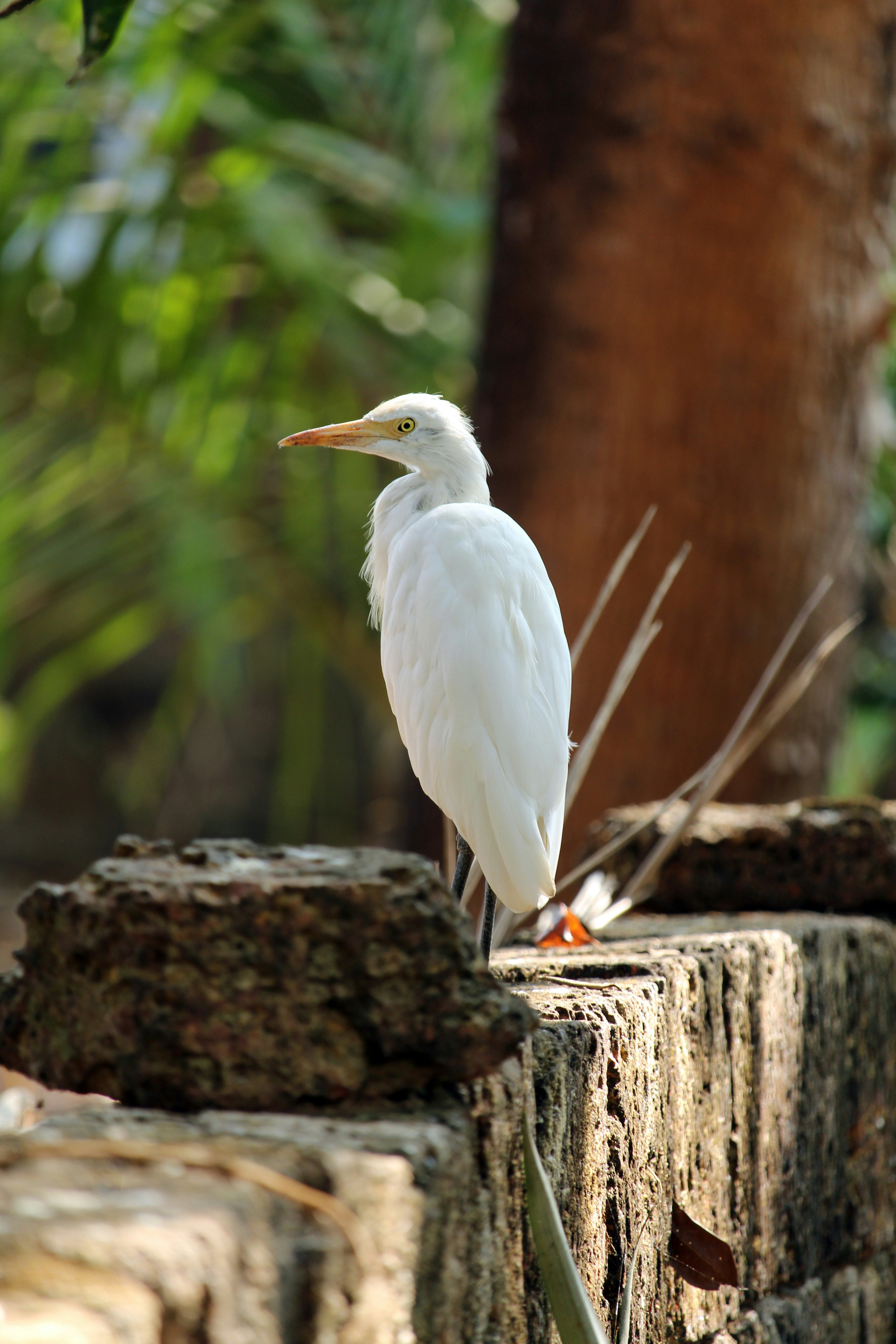 Photo by arun_payyanur