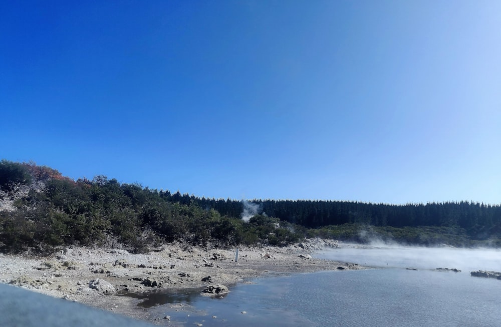 a body of water surrounded by a forest