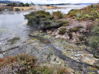 A natural landscape featuring a steamy mineral-rich area beside a lake. The terrain includes green vegetation and various plants amidst rocky and wet ground. Steam rises creating a misty atmosphere over the water, and buildings are visible in the background against a cloudy sky.