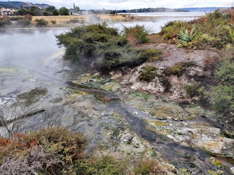 A natural landscape featuring a steamy mineral-rich area beside a lake. The terrain includes green vegetation and various plants amidst rocky and wet ground. Steam rises creating a misty atmosphere over the water, and buildings are visible in the background against a cloudy sky.