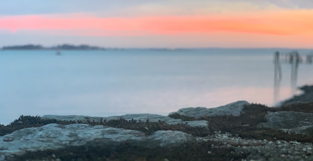 a blurry photo of a body of water