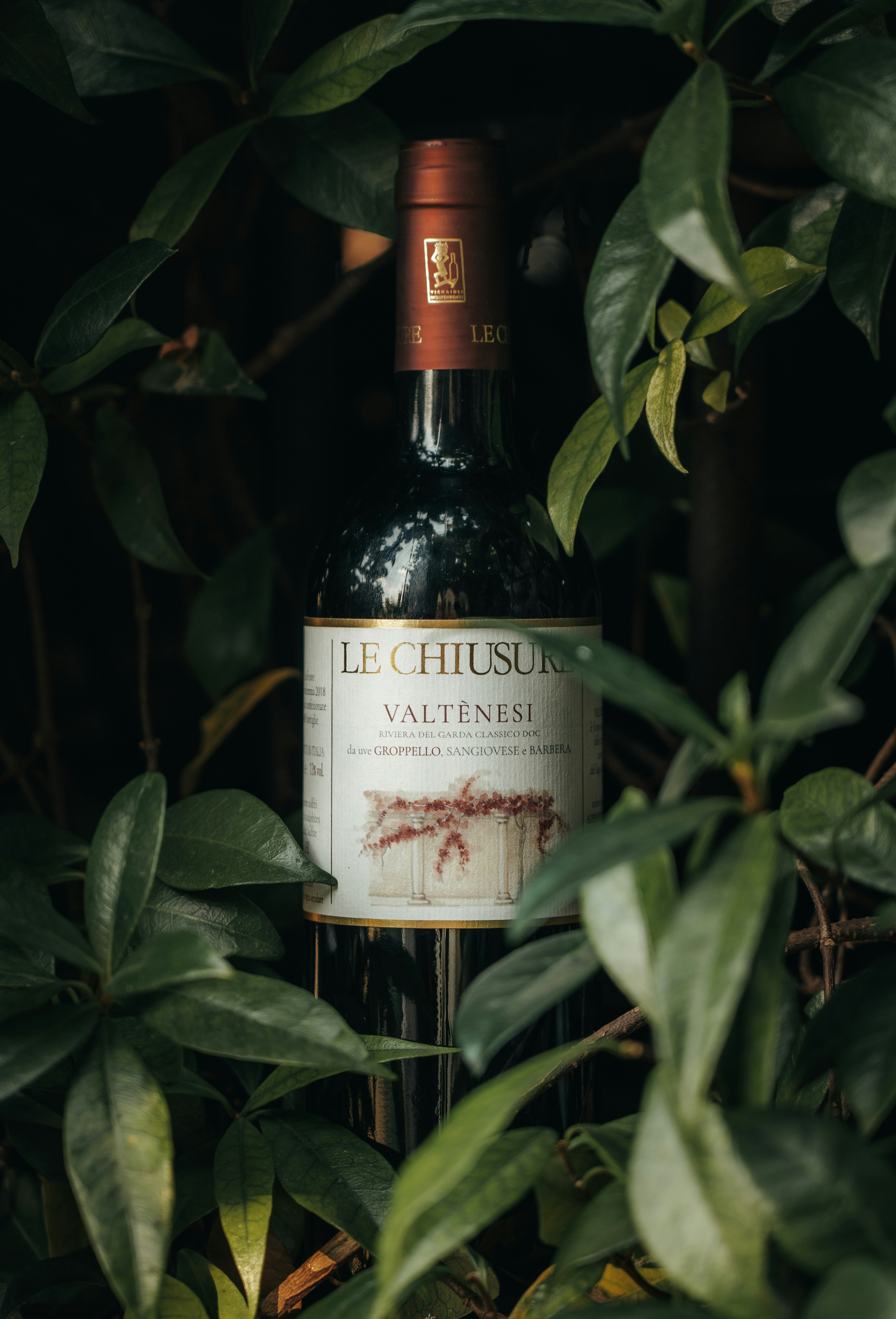 Photo by fchristiaans