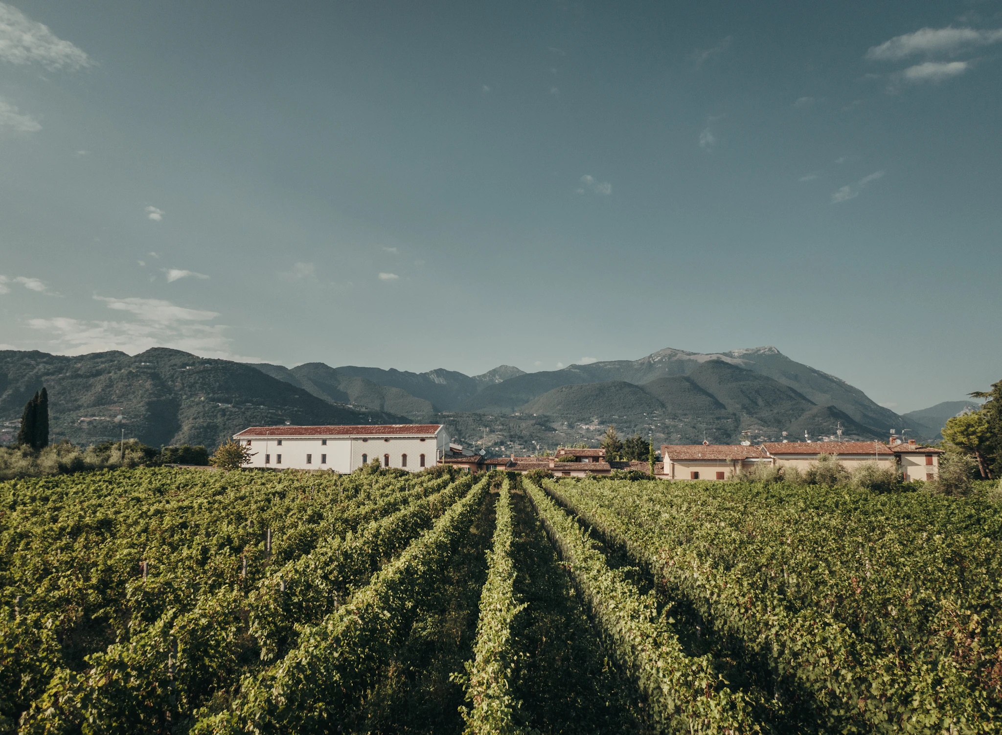 Franciacorta