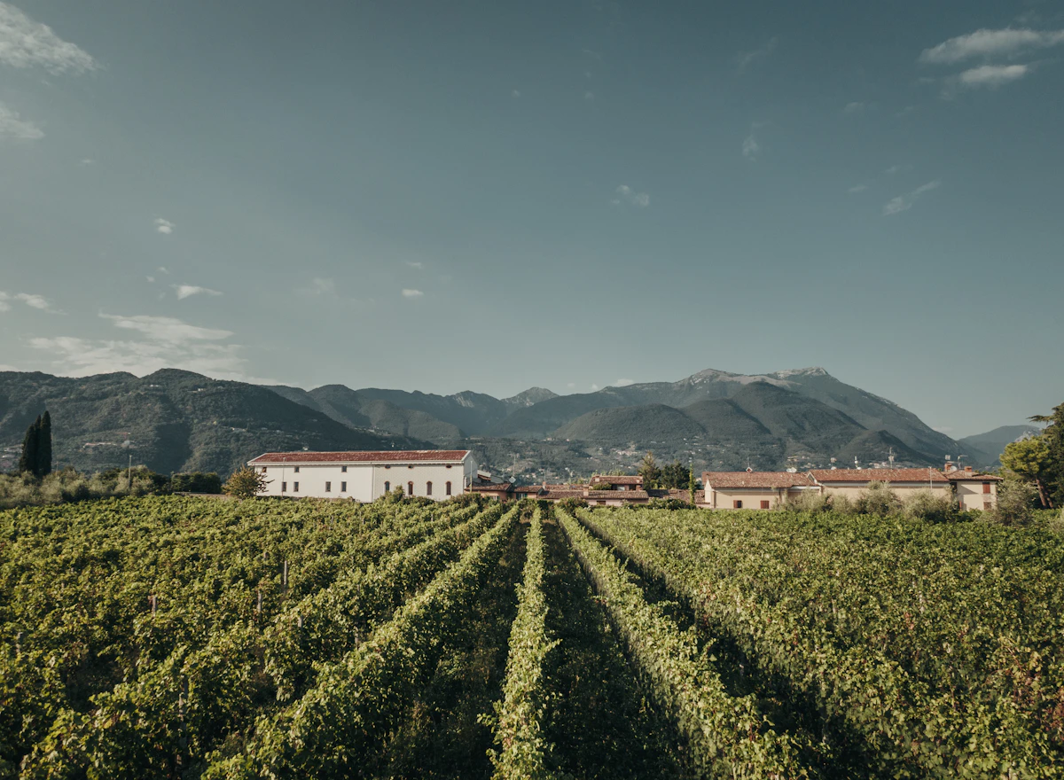 Franciacorta