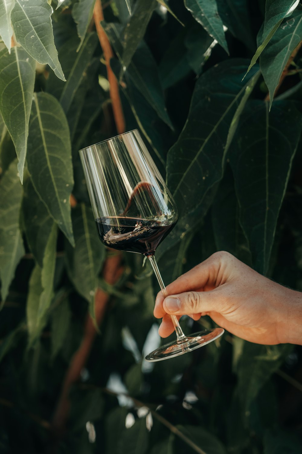 uma pessoa segurando um copo de vinho na mão