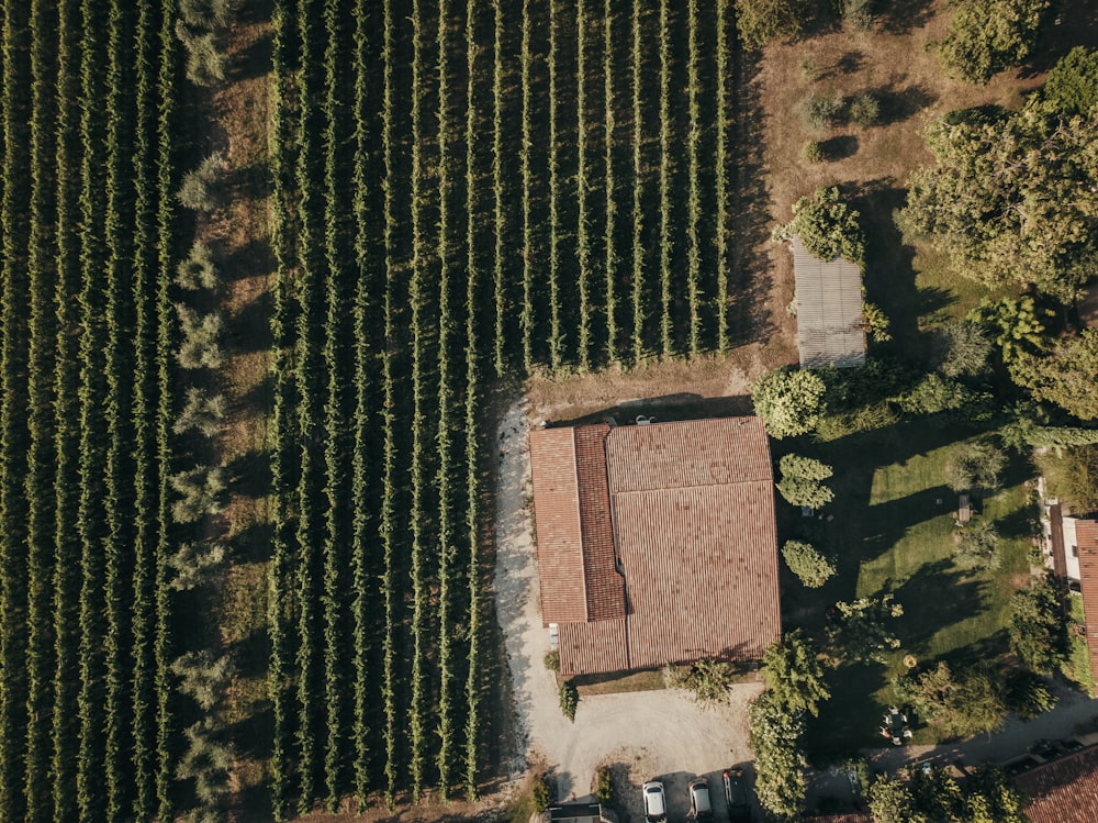 an aerial view of a farm and a house