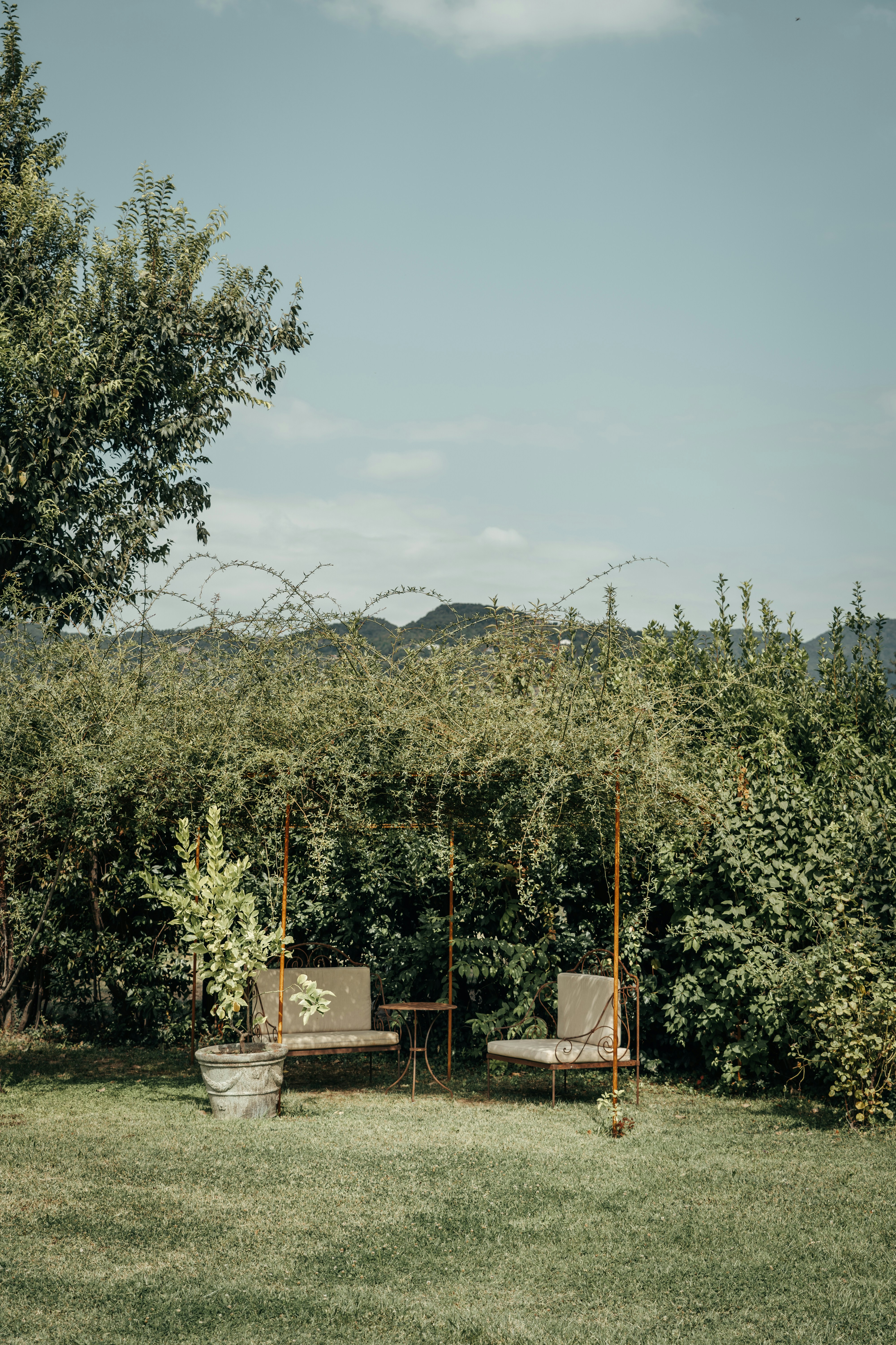 Photo by fchristiaans