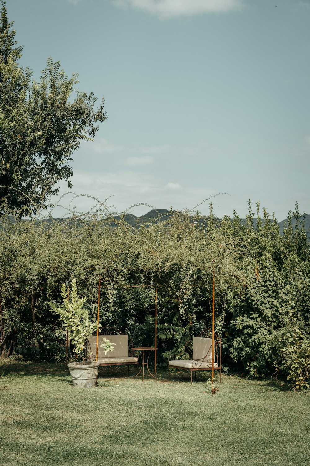 a couple of chairs sitting on top of a lush green field