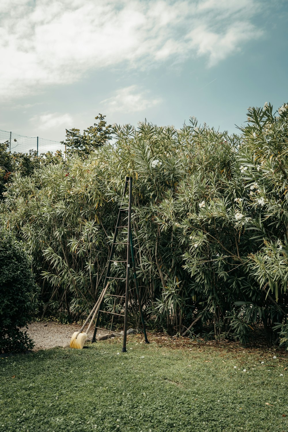 a tall wooden pole sitting in the middle of a lush green field