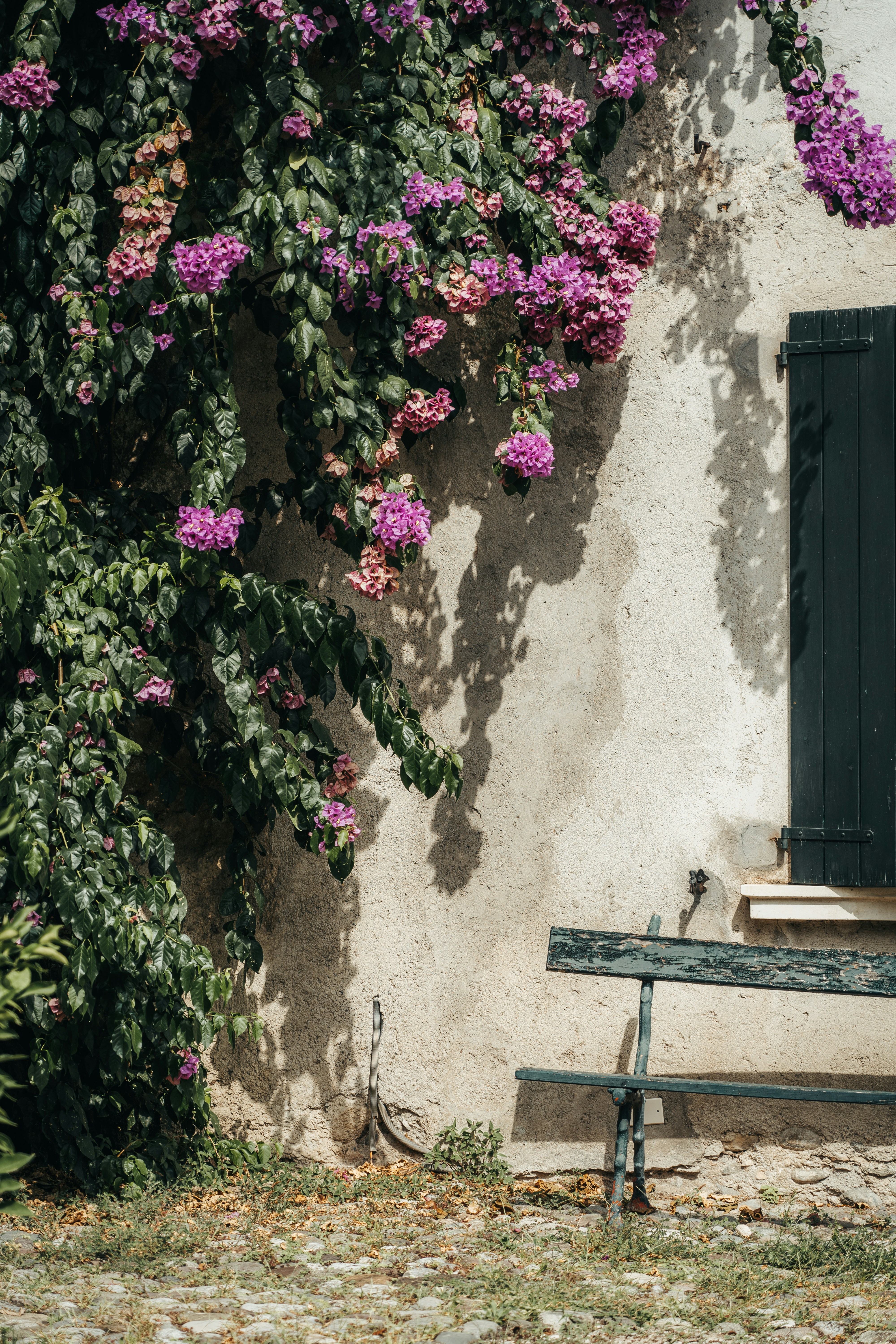 Photo by fchristiaans