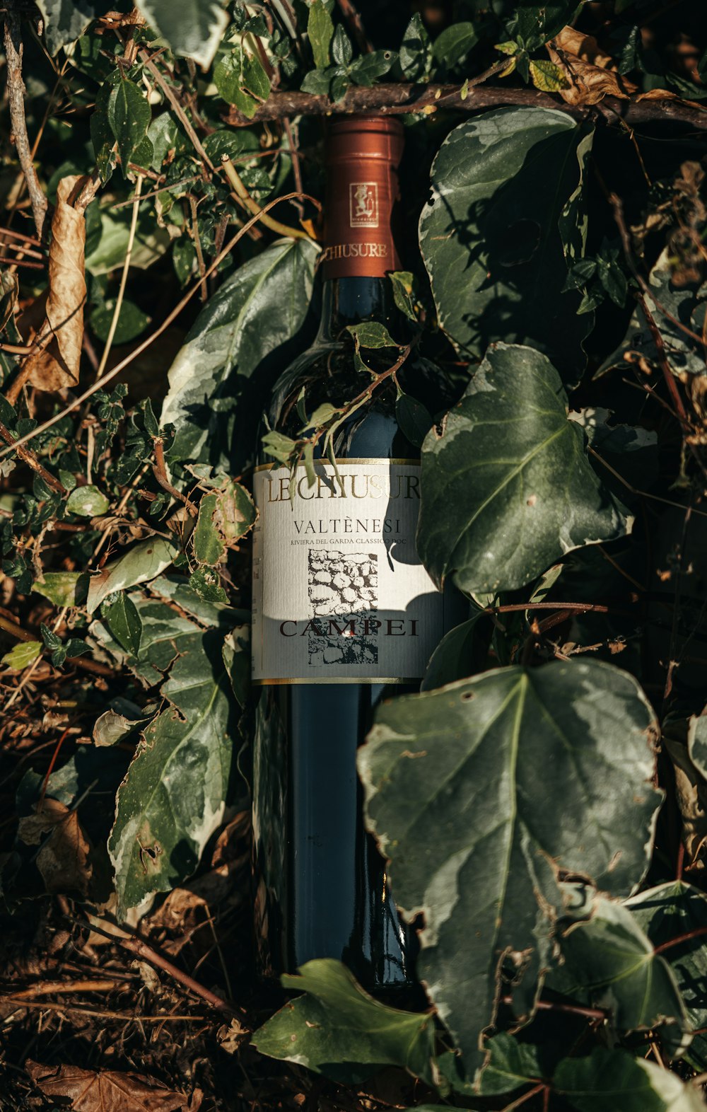 a bottle of wine sitting on top of a leaf covered ground