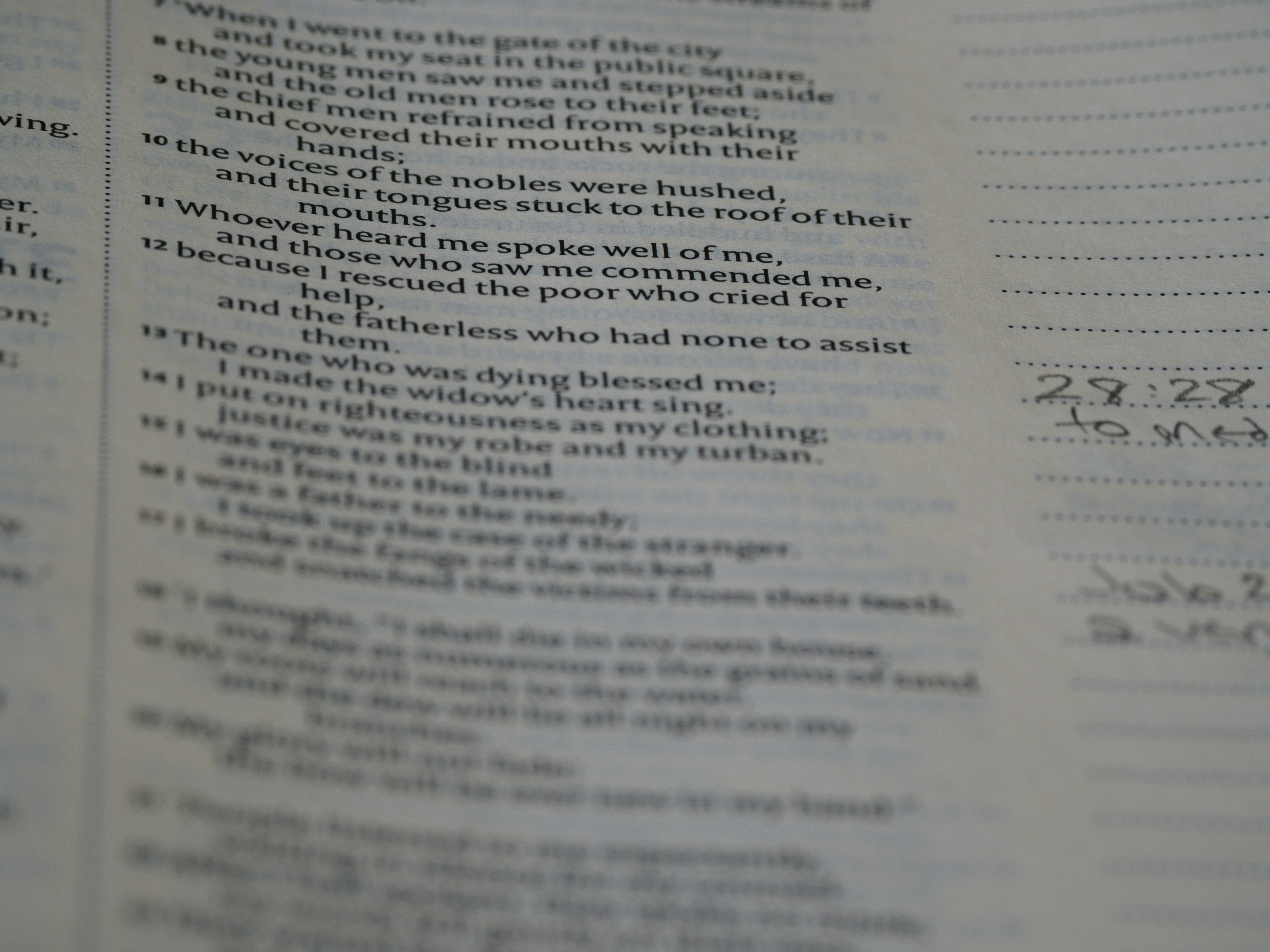 Photo by brett_jordan