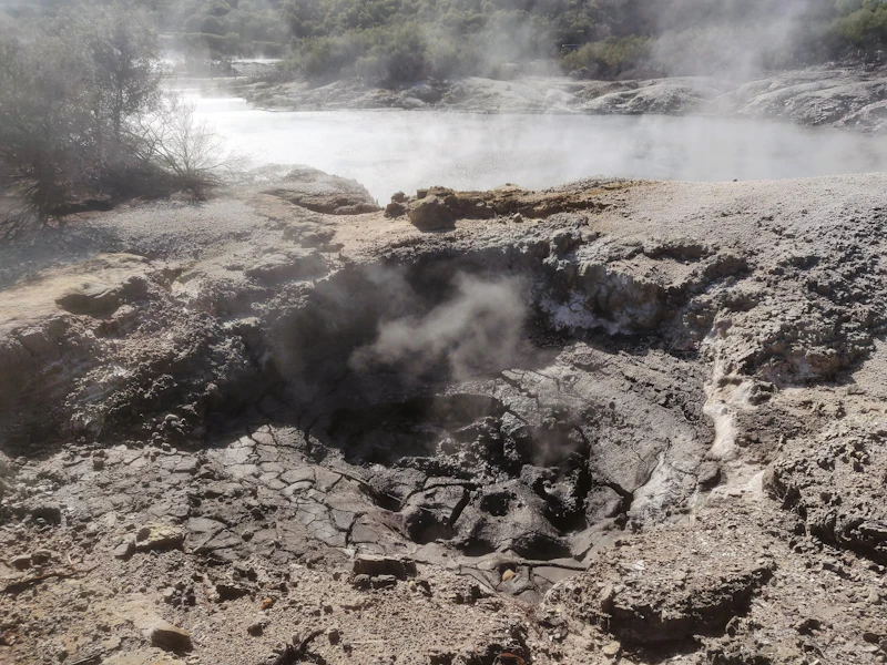 Rotorua geothermal steam and mud pool