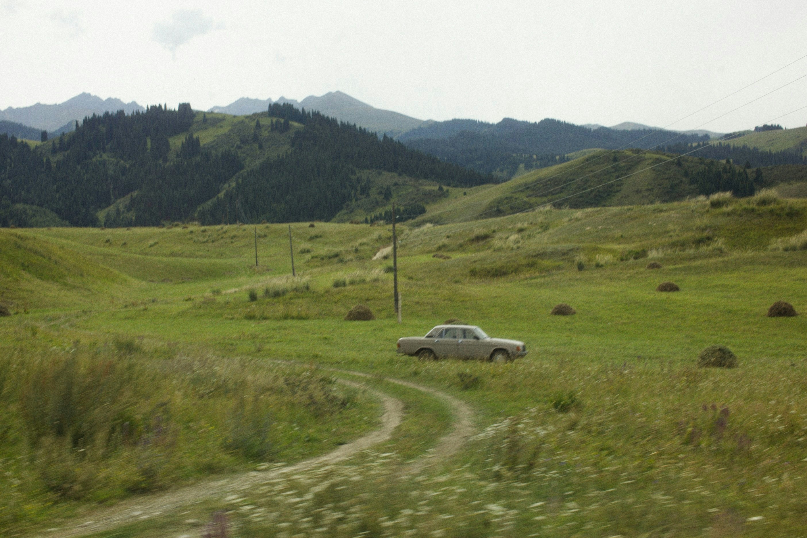 Photo by alexeydemidov
