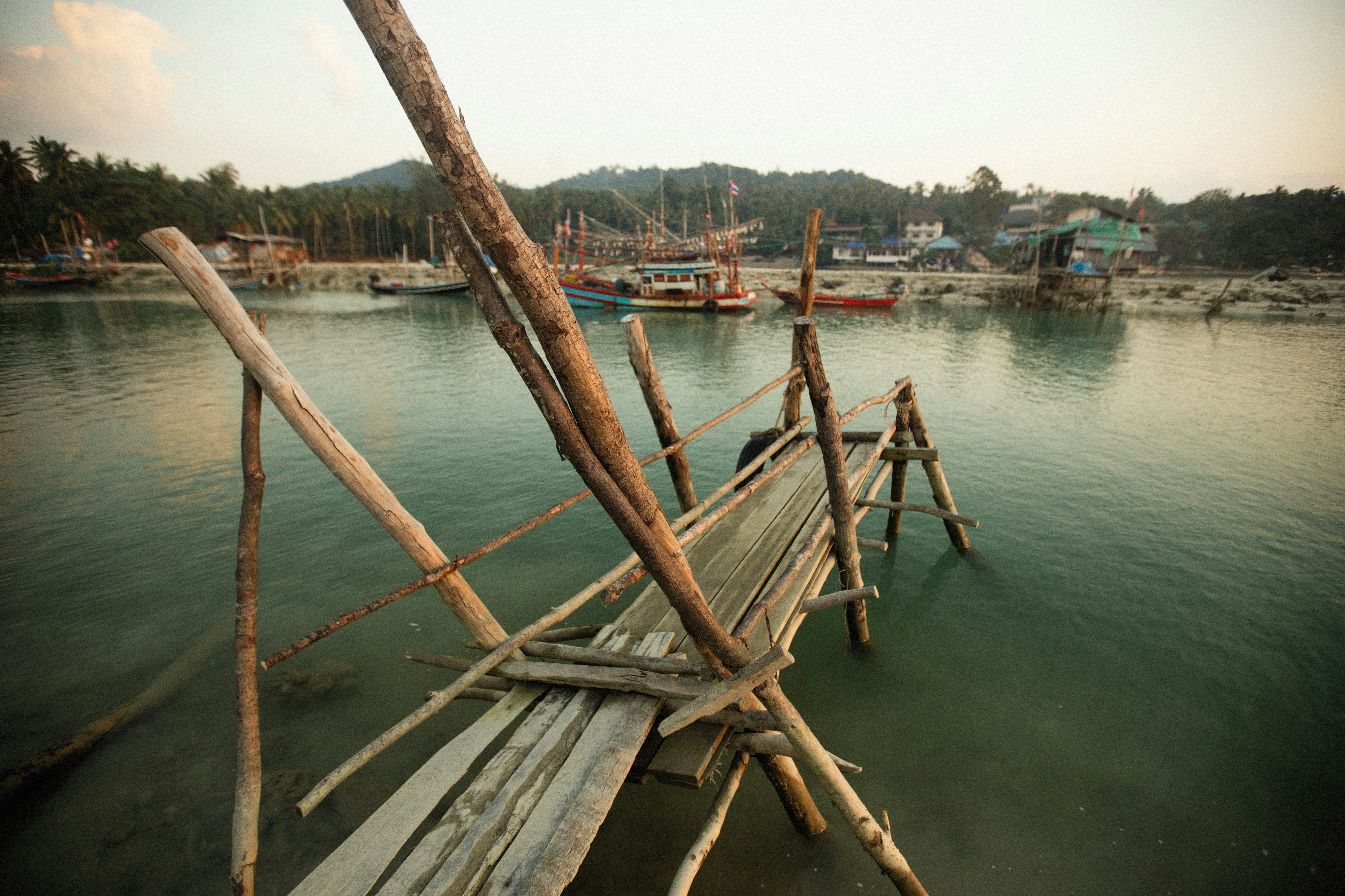 Photo by alexeydemidov