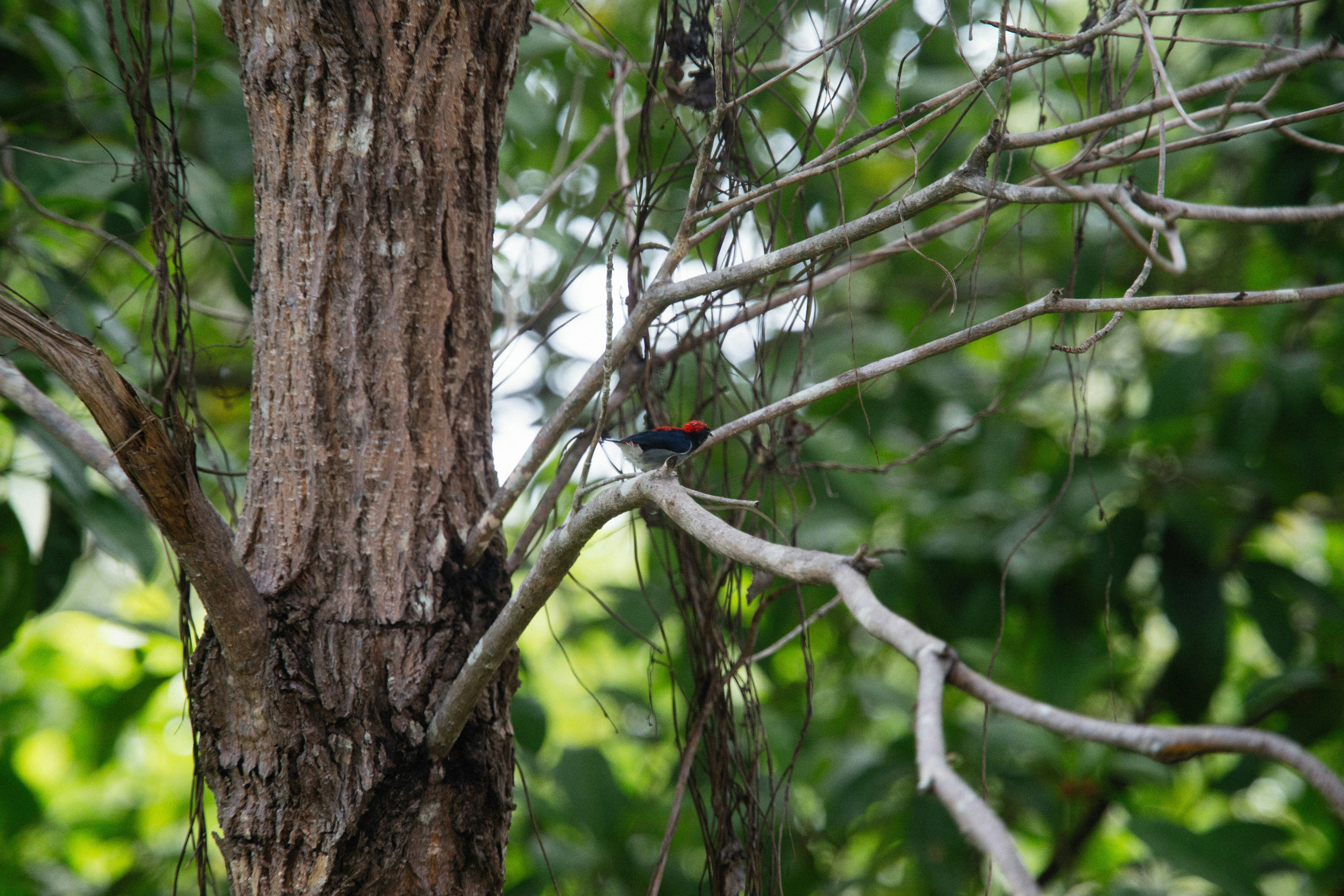 Photo by alexeydemidov