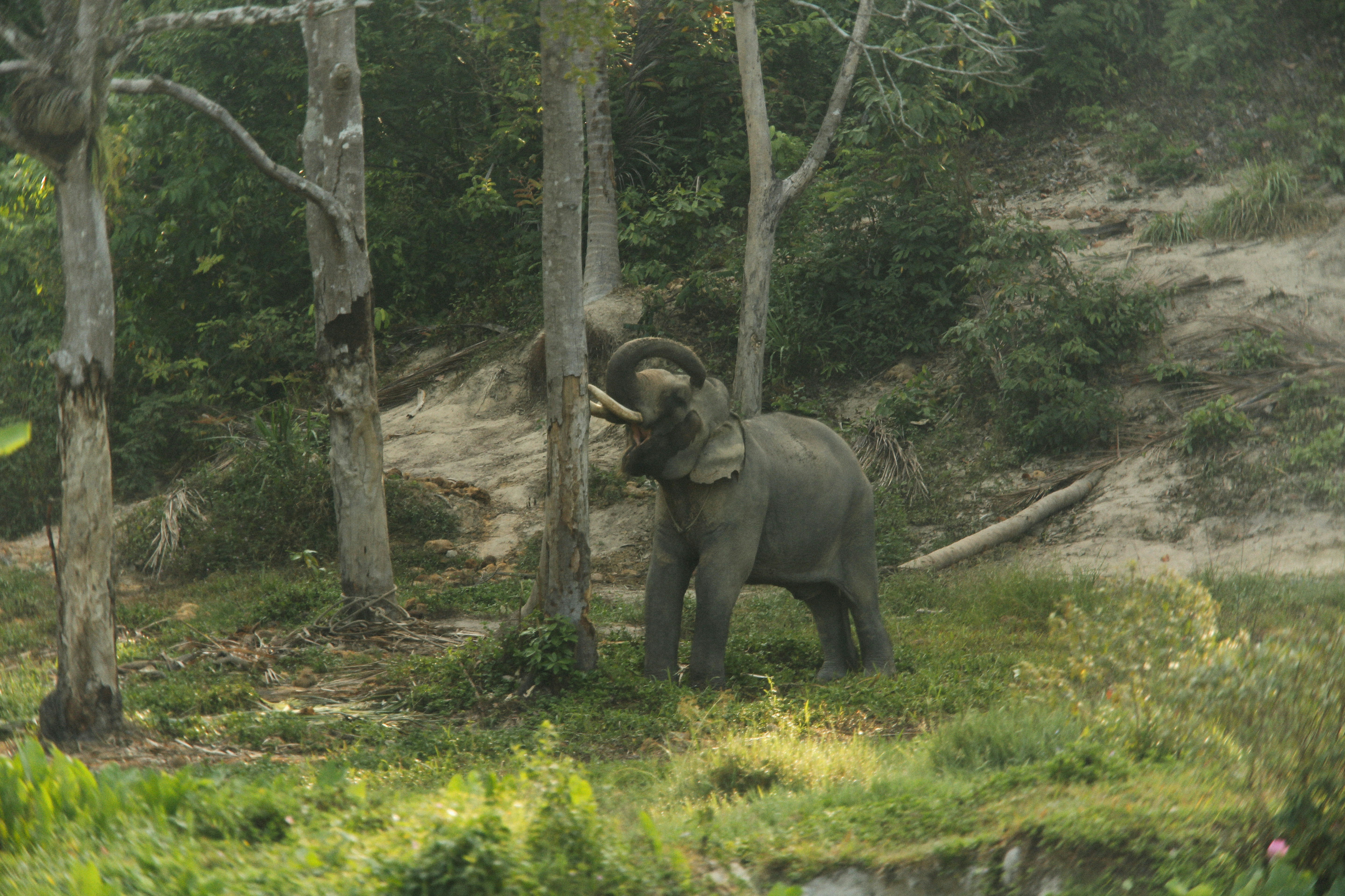 Photo by alexeydemidov