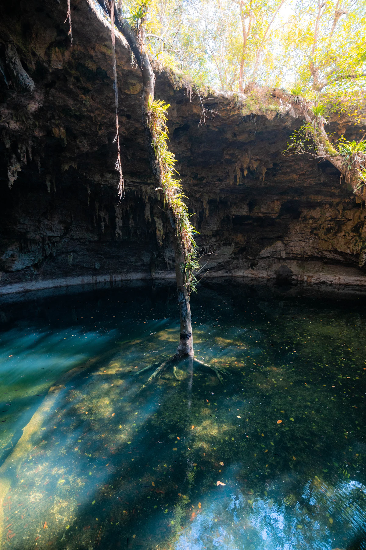 Riviera Maya cenote with families swimming