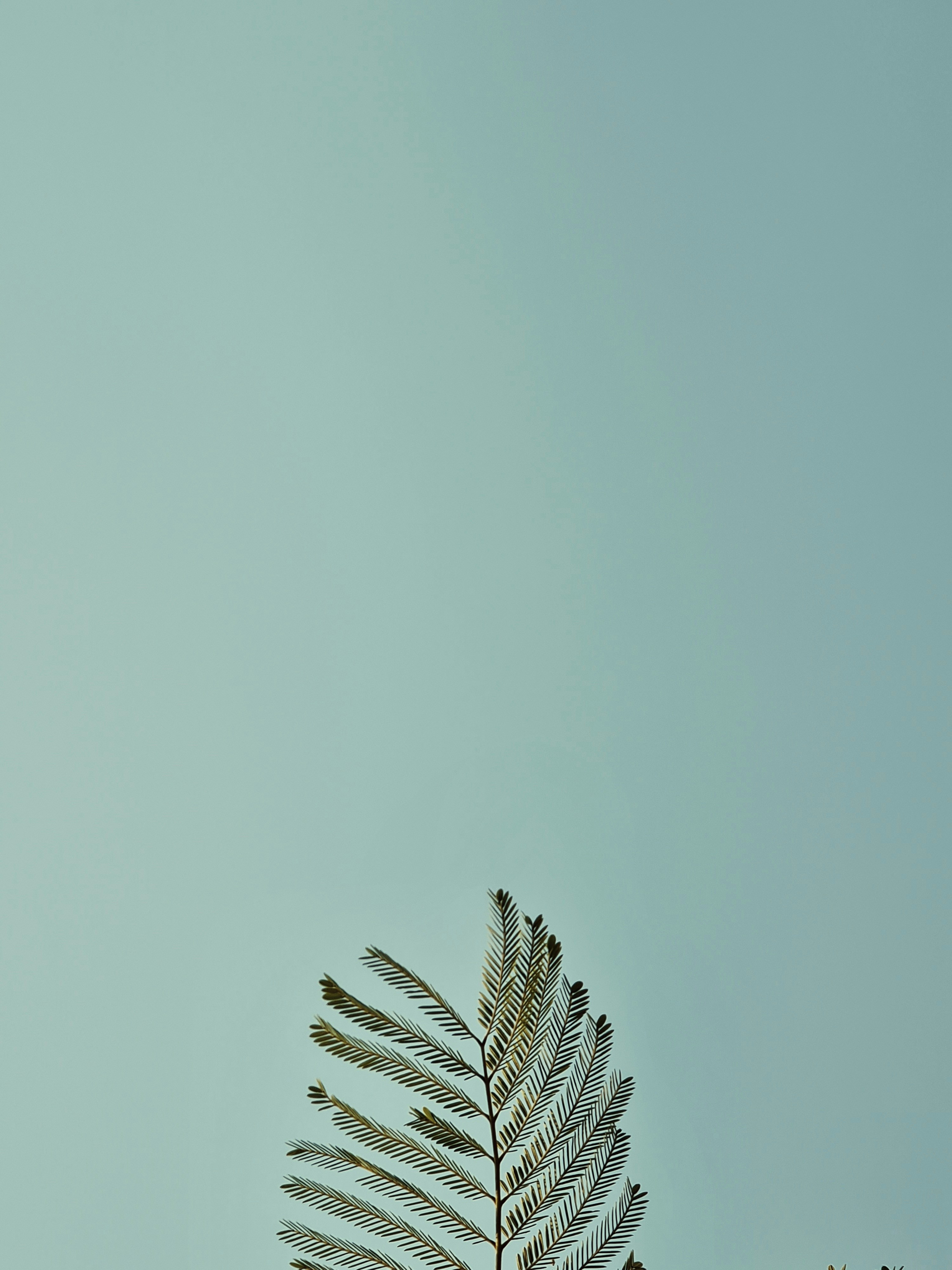 photo-1645699821282-af54a26ba79d?ixid=M3wxMjA3fDB8MXxzZWFyY2h8Mnx8aGlnaHN0YWtlcyUyMGFwcHxlbnwwfHx8fDE3NjM1NDg2NTZ8MA\u0026ixlib=rb-4.1.0