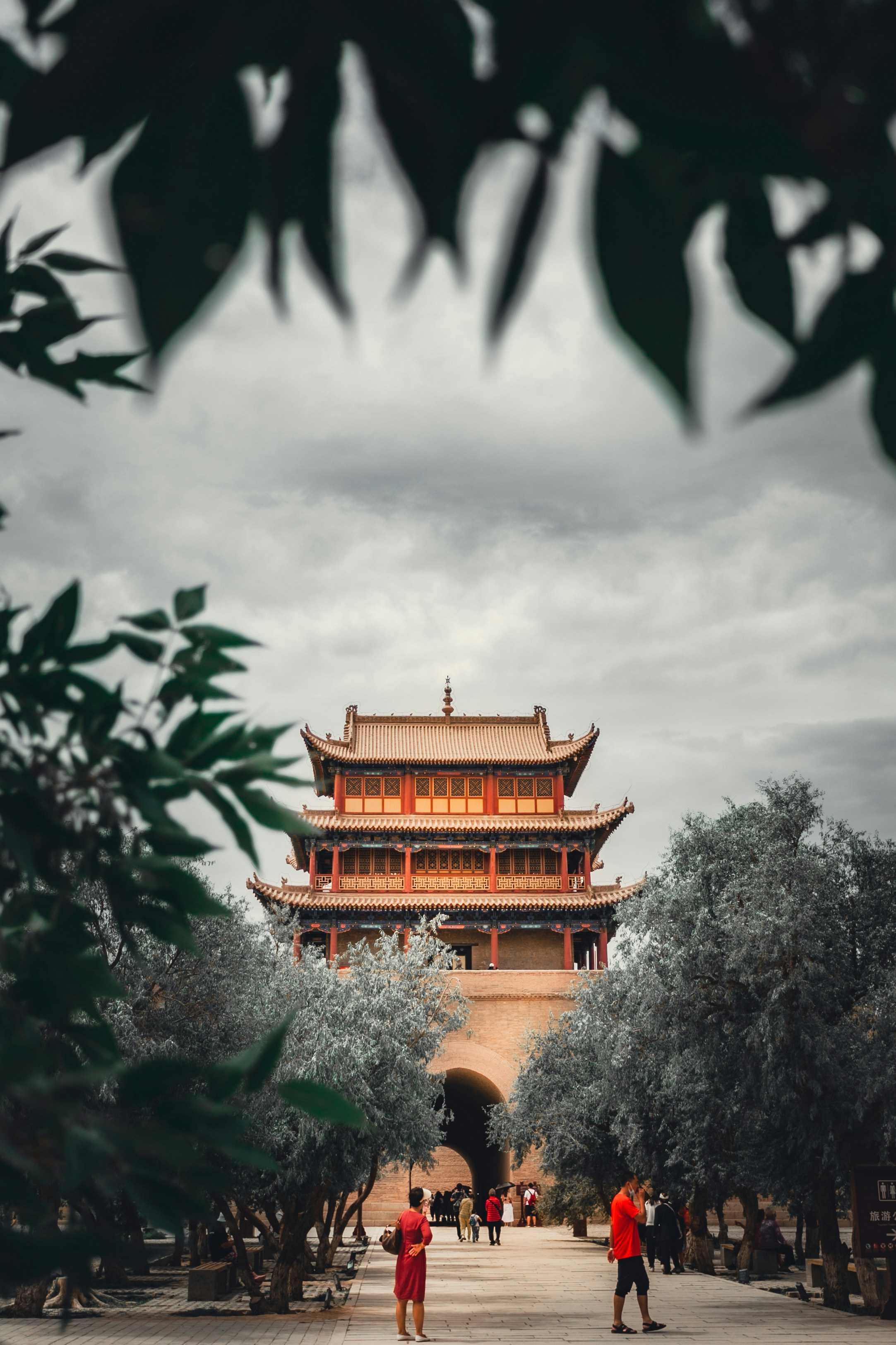 Photo by yubinzhou0314