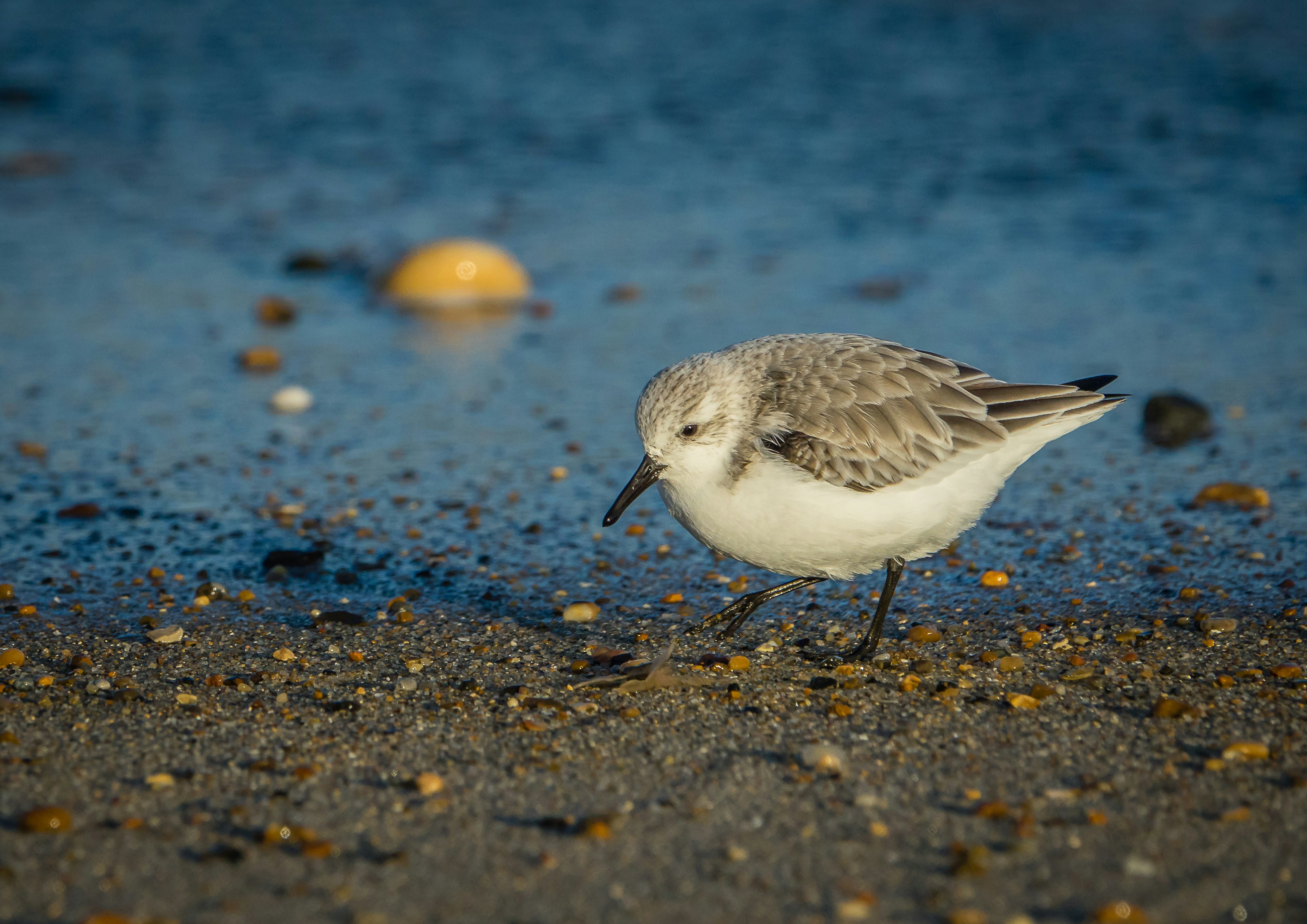 Photo by norfolkboy14