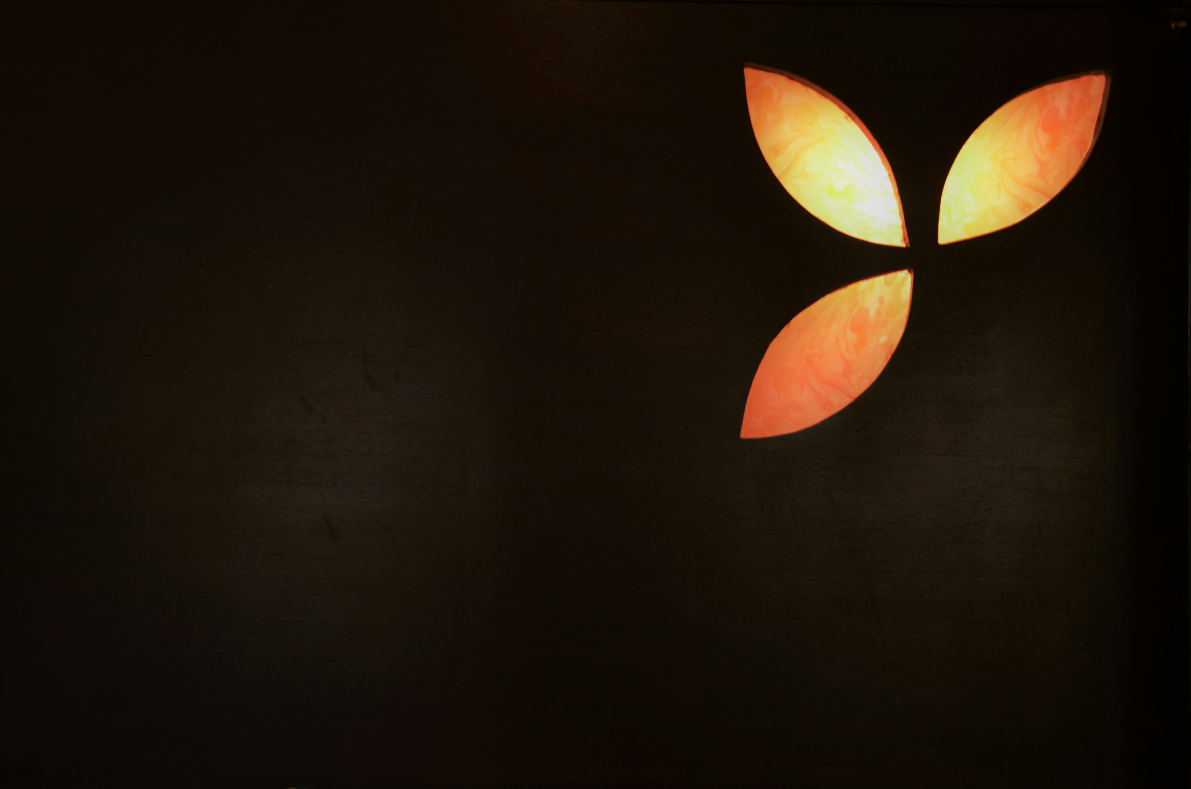 rhoda alex (@rhodadesigns) | Comunidade de fotos da Unsplash