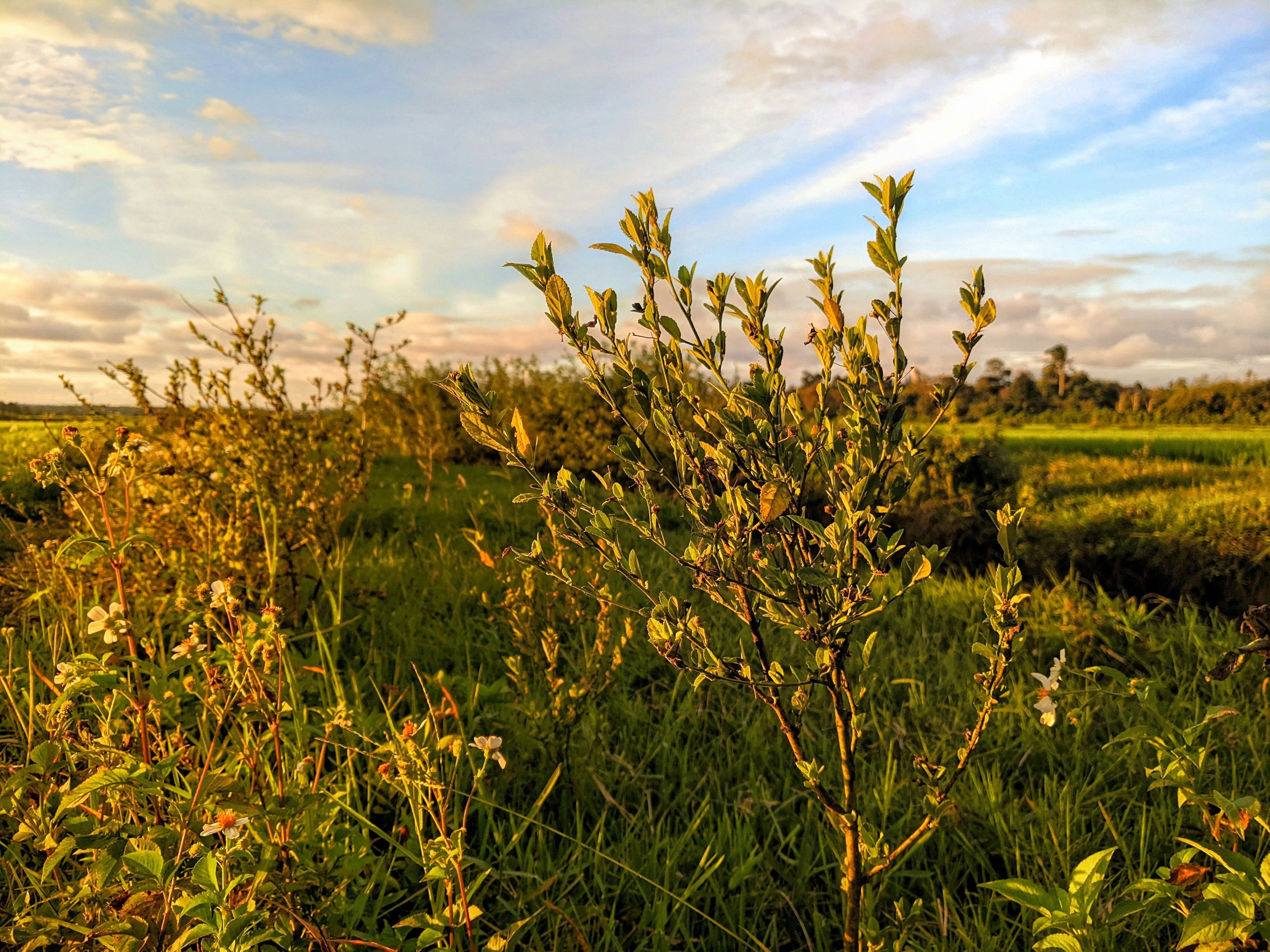 Photo by nguyenhuudailoc