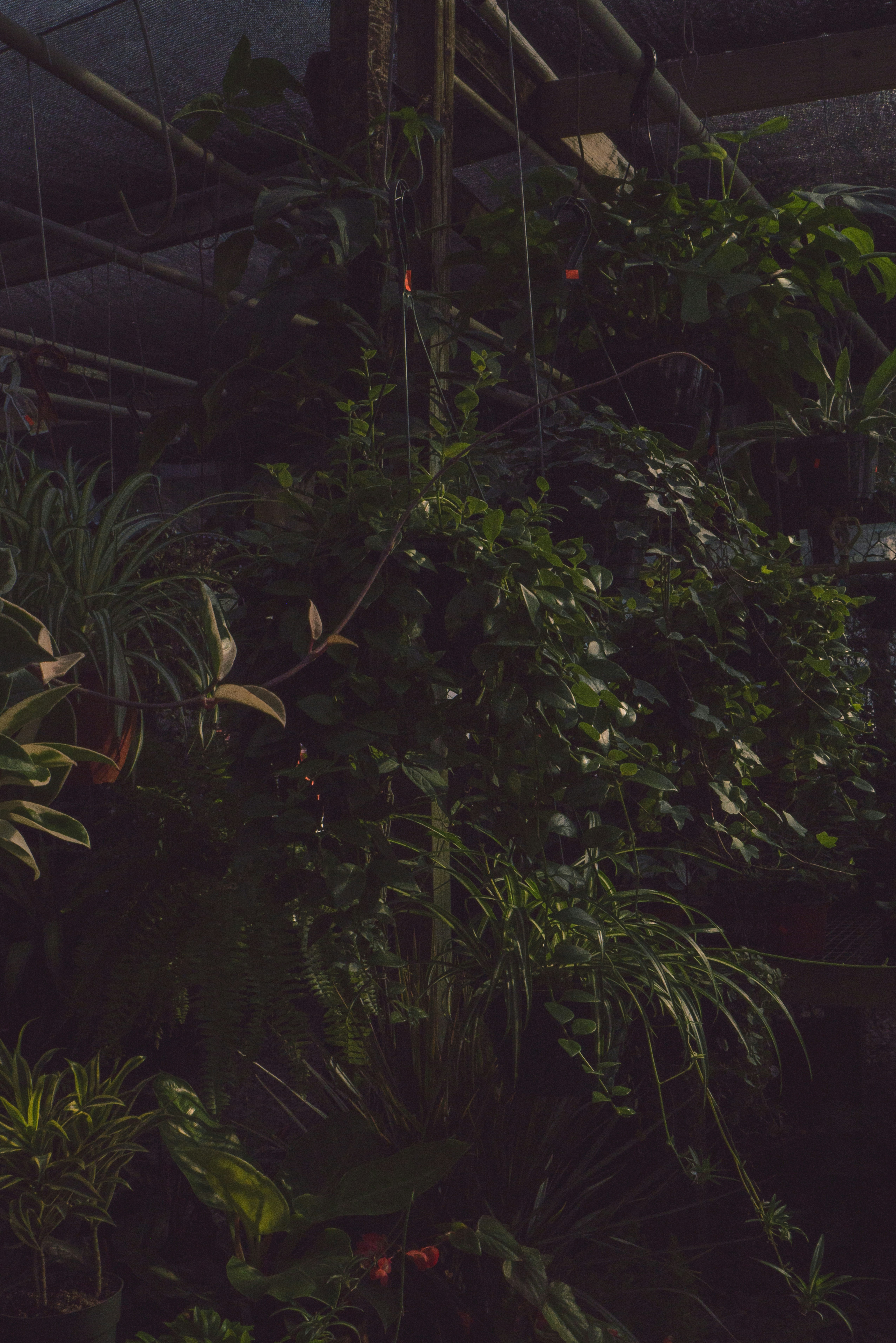 Photo by savannahasah