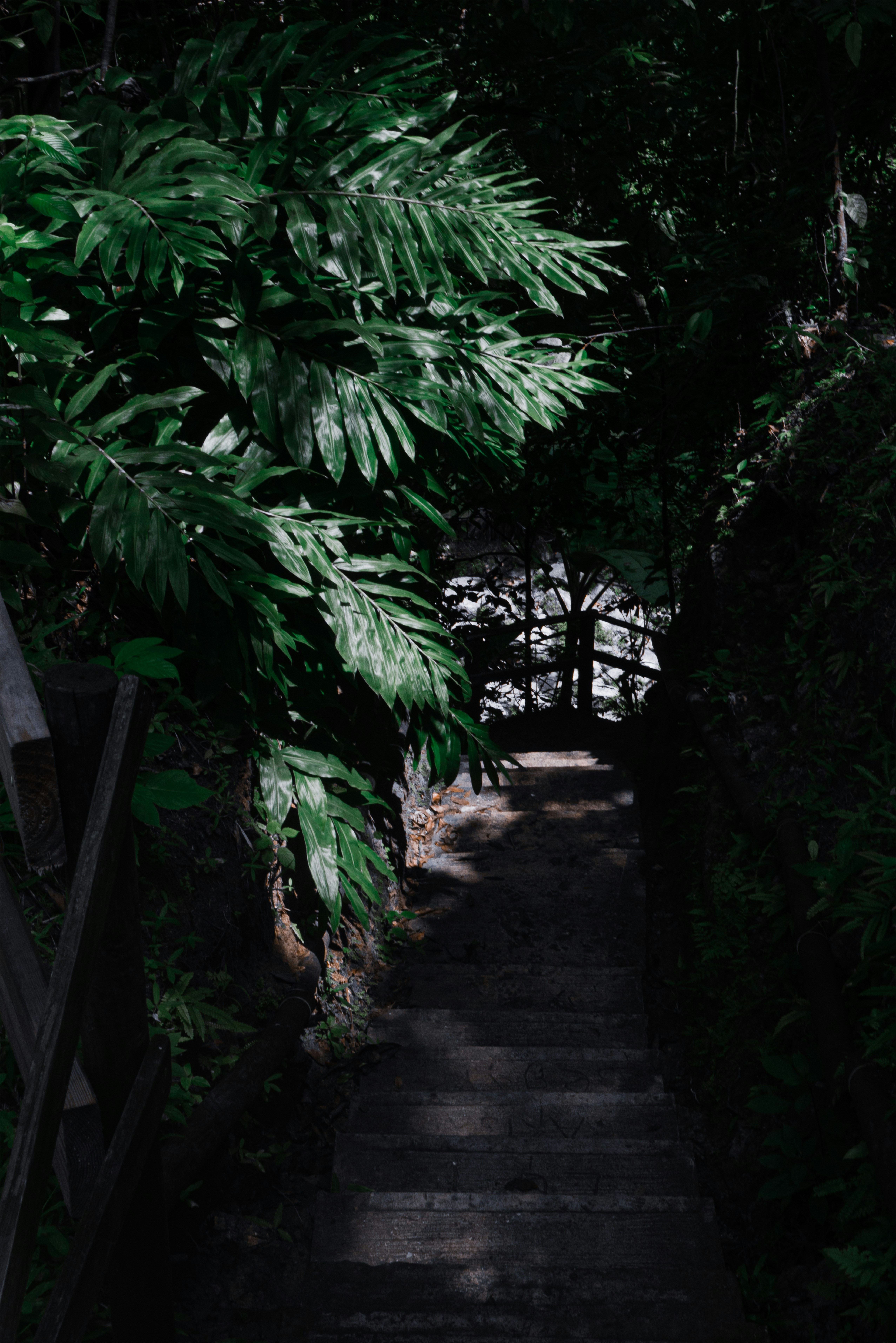 Photo by savannahasah