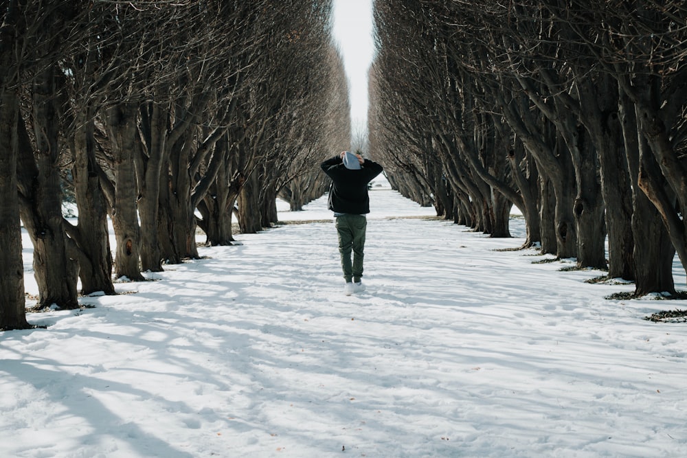 a person standing in the middle of a row of trees