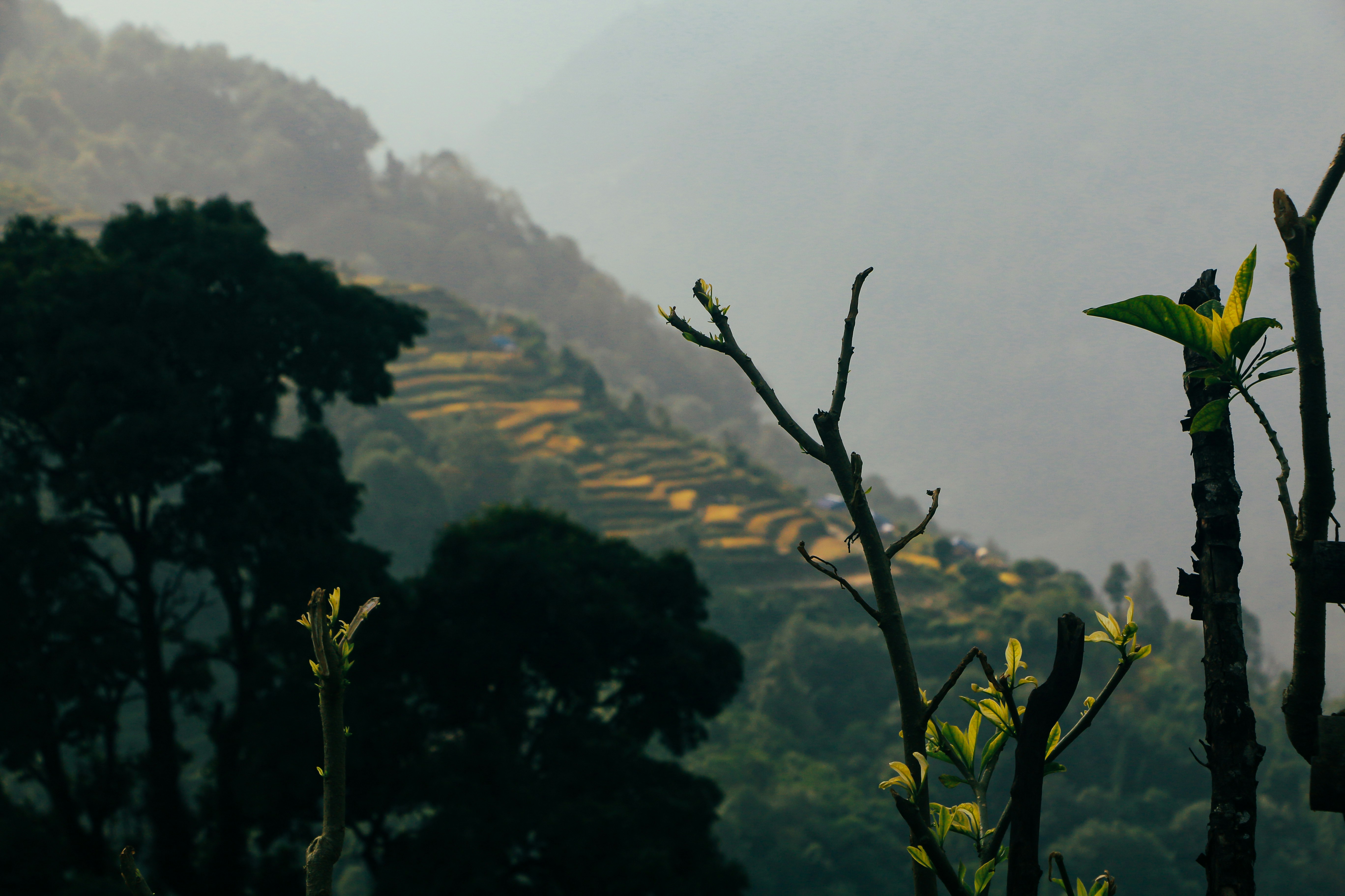 Photo by neha1301039