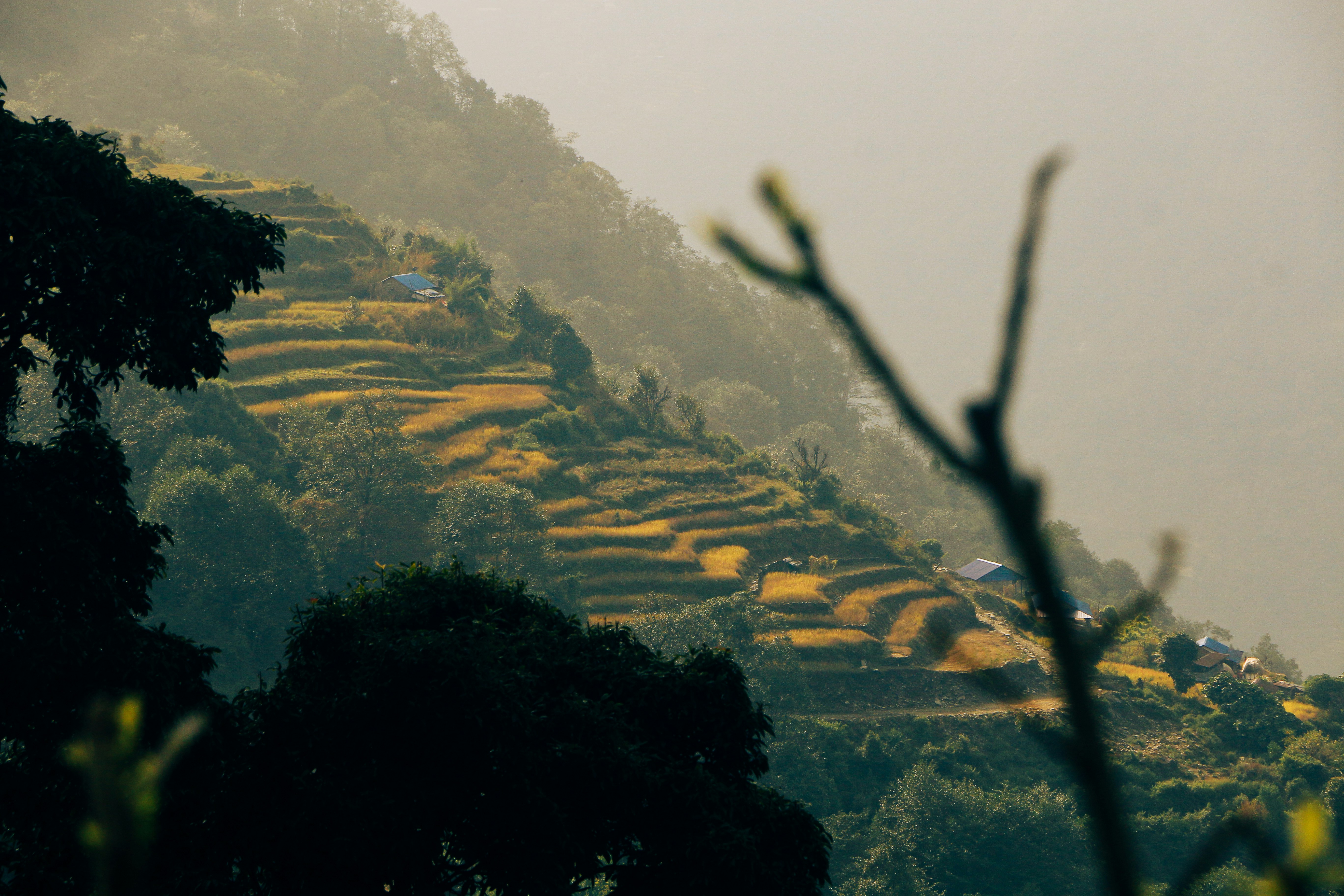 Photo by neha1301039