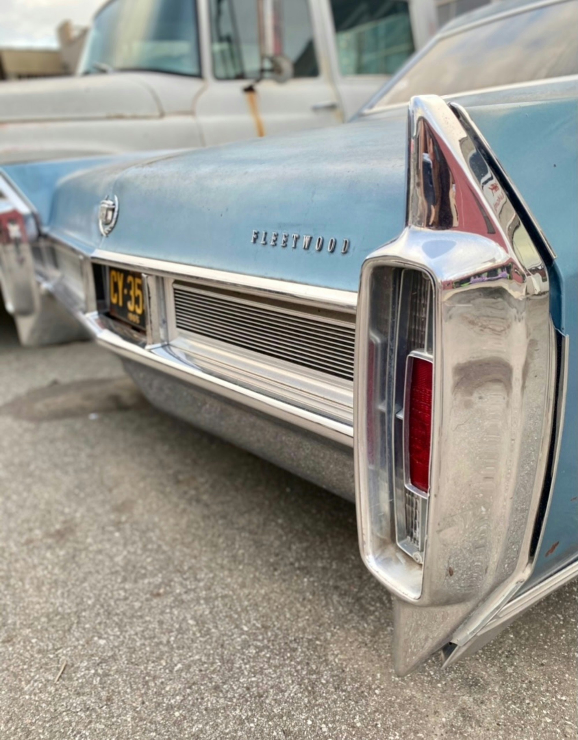 Photo by lazyfancygirl